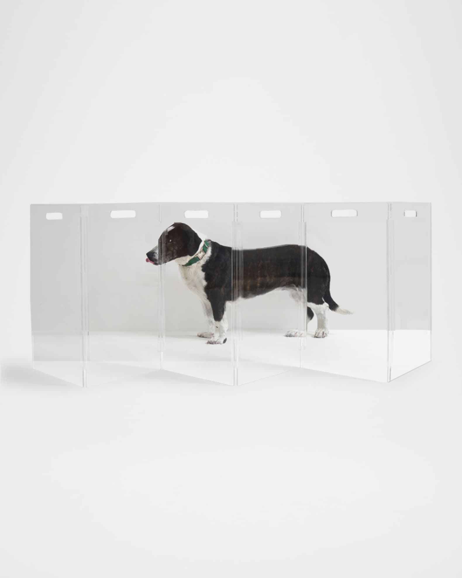 HIDDIN Clear 6Panel Low Zig Zag Pet Gate Neiman Marcus