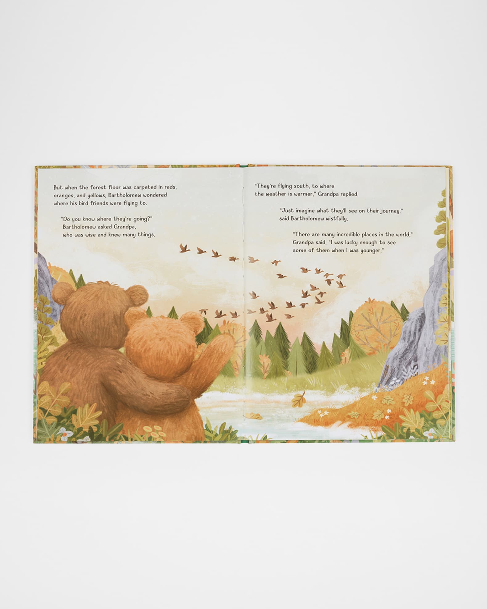 Its A Big World Bartholomew Story Book 1