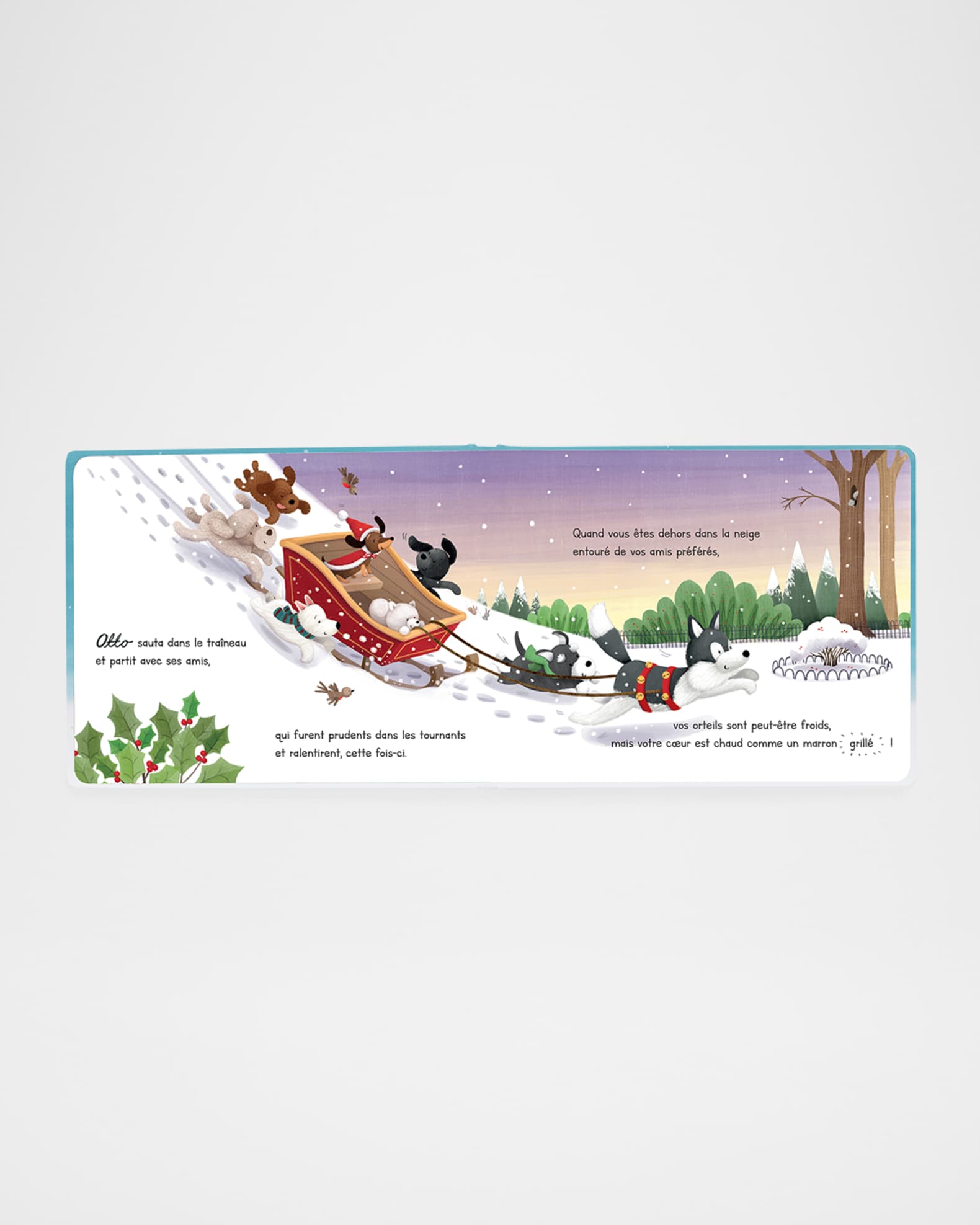 Otto's Snowy Christmas Book 1