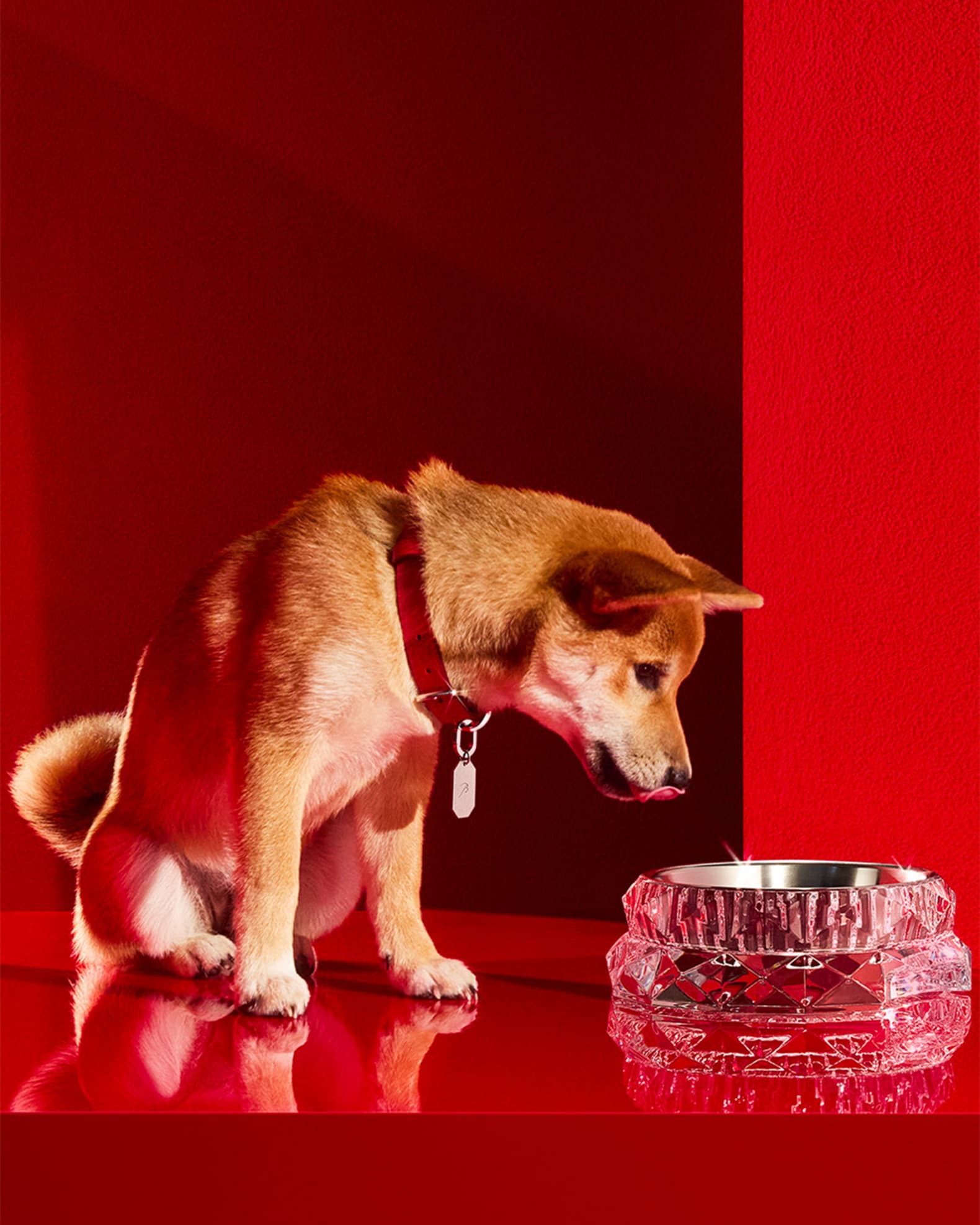 Baccarat Louxor Crystal Pet Bowl, Large | Neiman Marcus