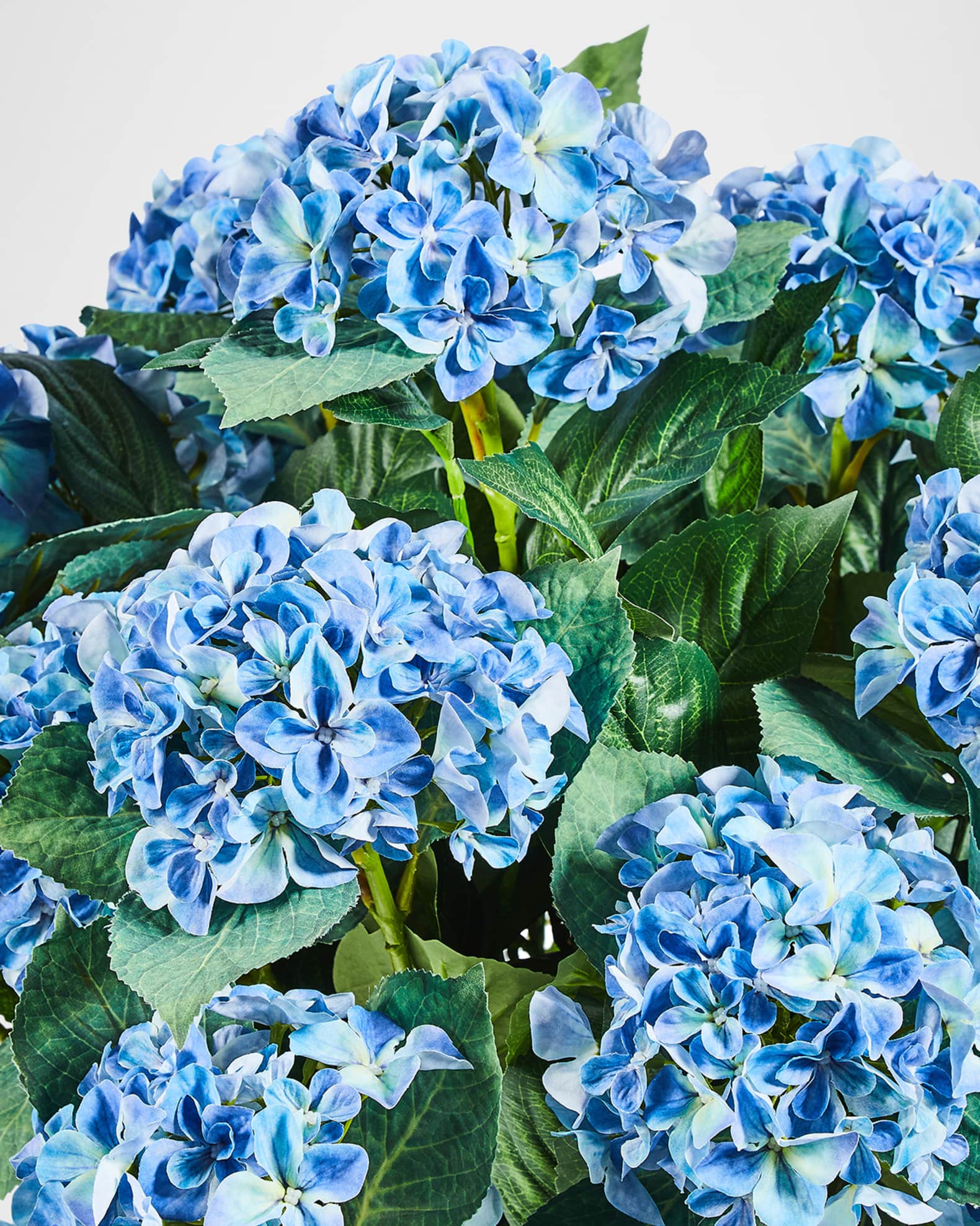 放送大学 割引 Filler Urn Hydrangea Blue MacKenzie-Childs | Marcus Neiman コレクション