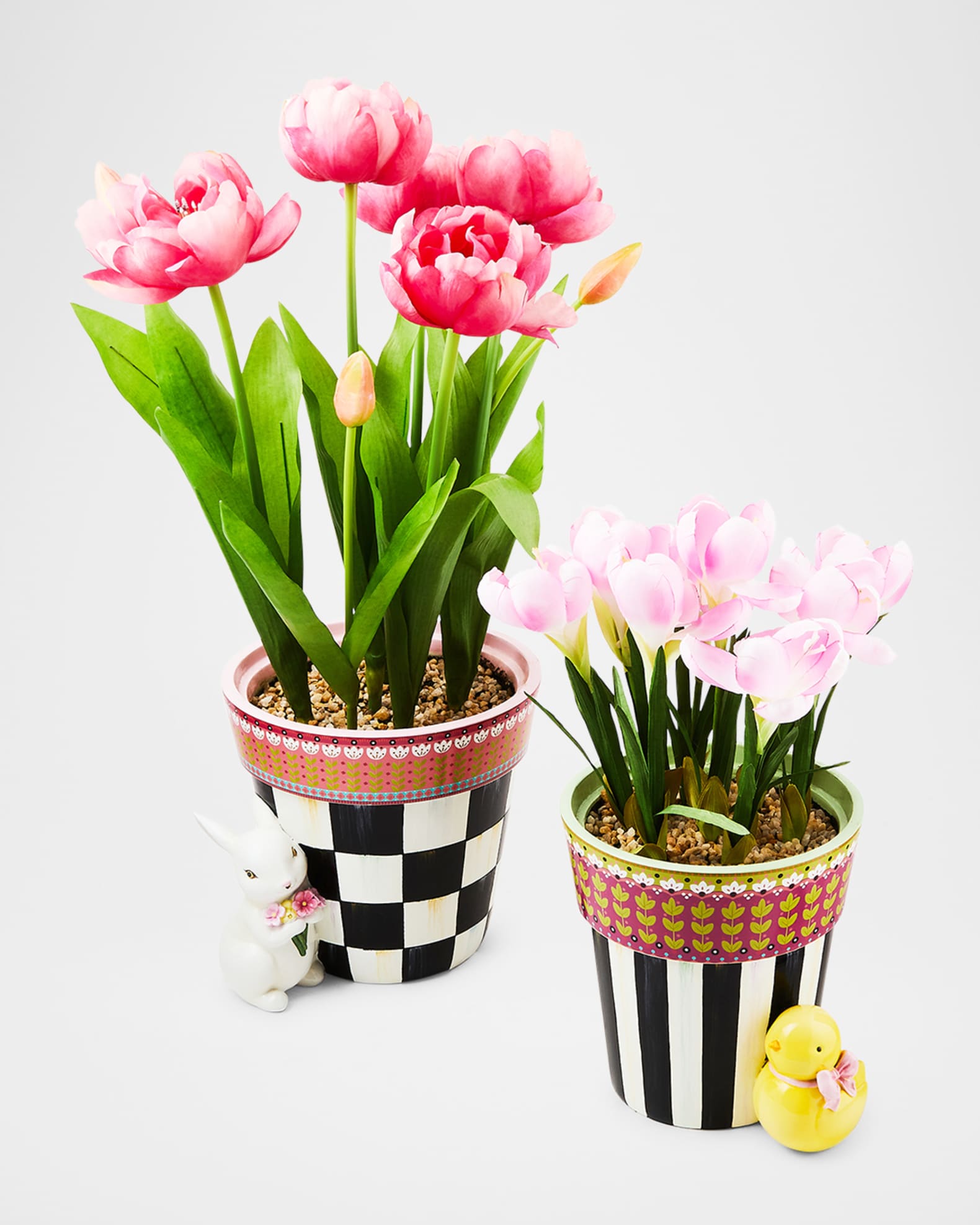 Calico Potted Crocus with Chick 1