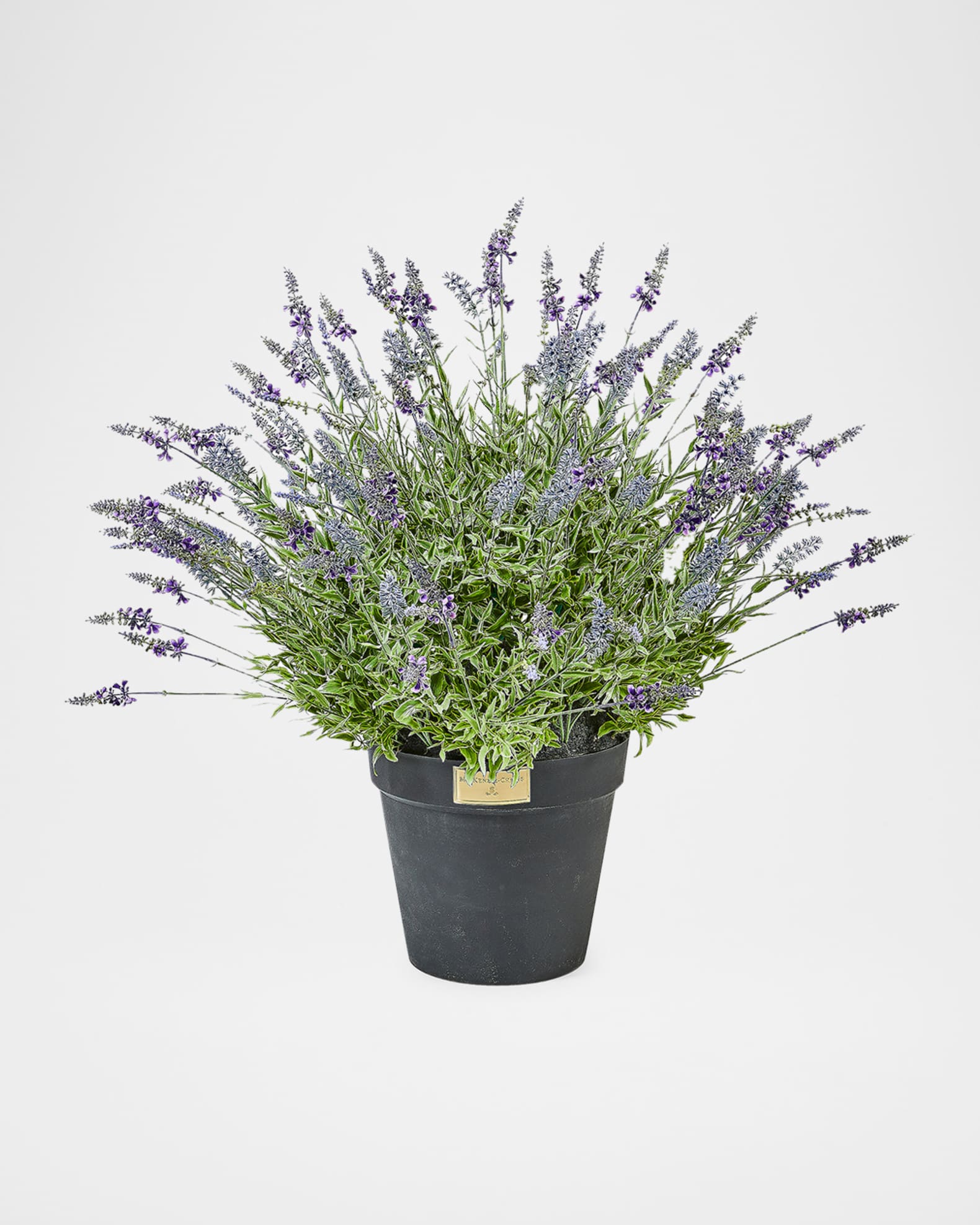 Lavender Urn Filler 0