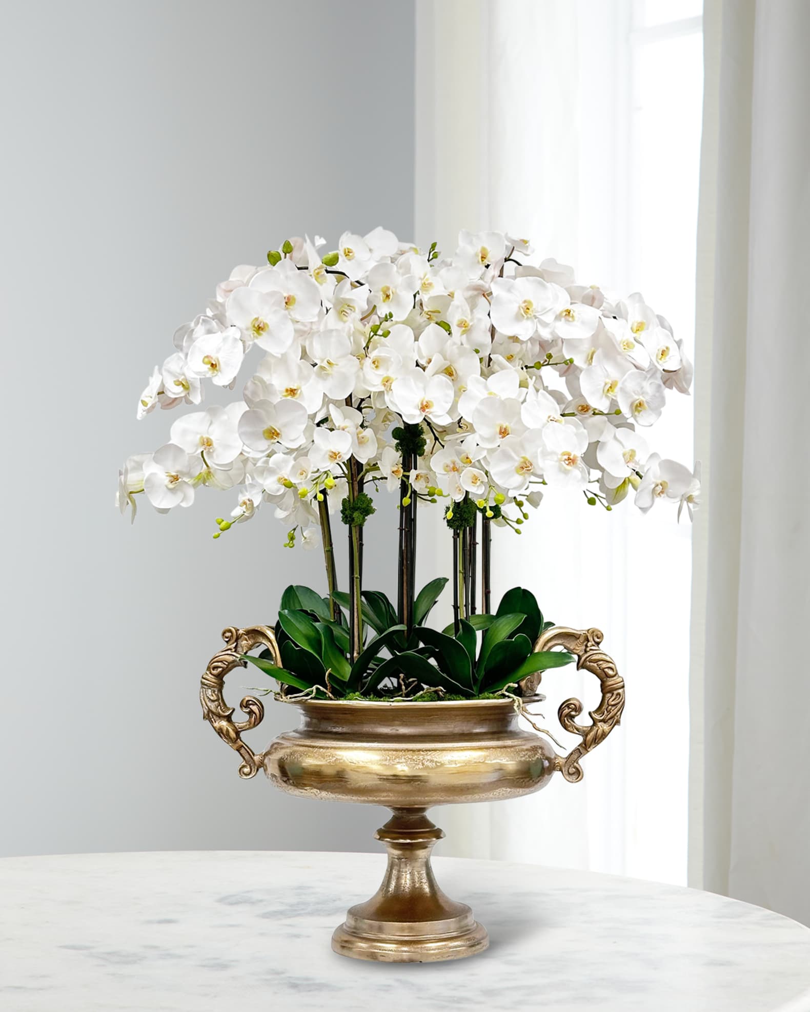 Winward Home Orchids 45