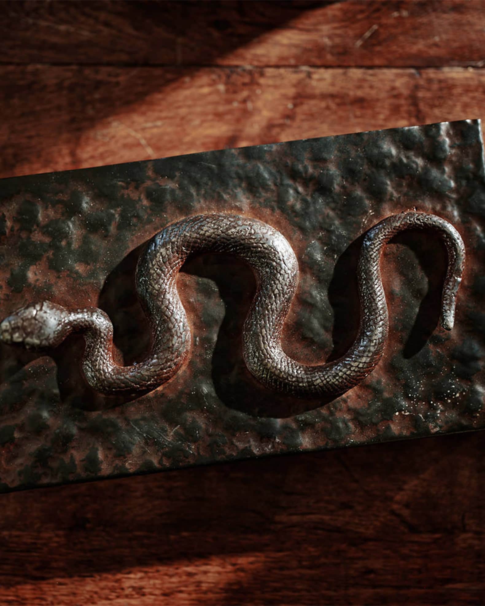 Nagini Snake Box 1
