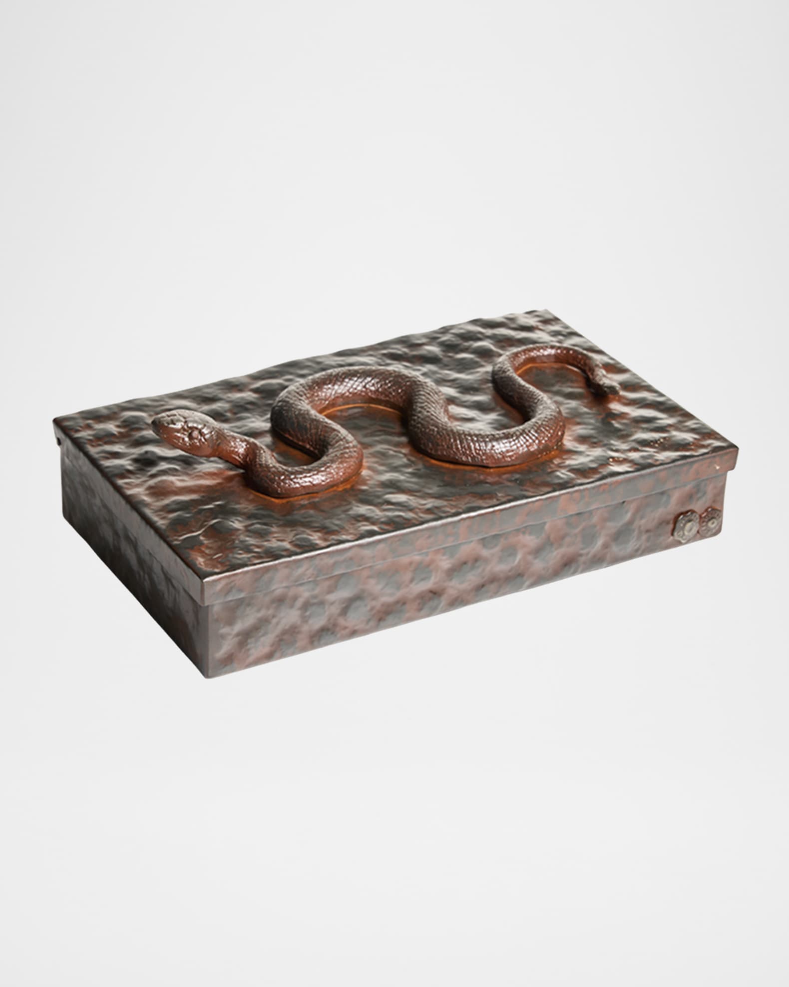 Nagini Snake Box 0