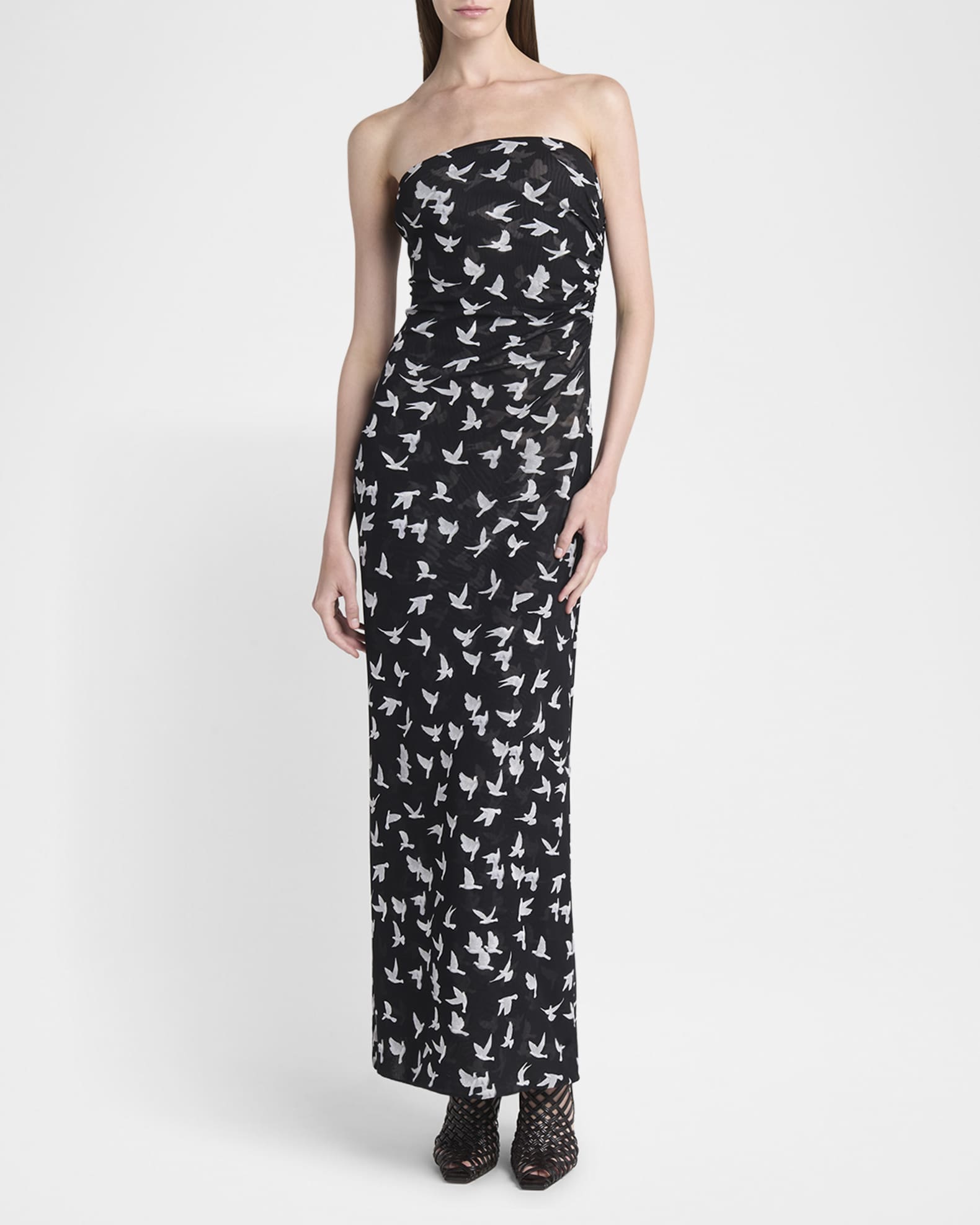 Flying Bird Haze Mesh Maxi Dress 1