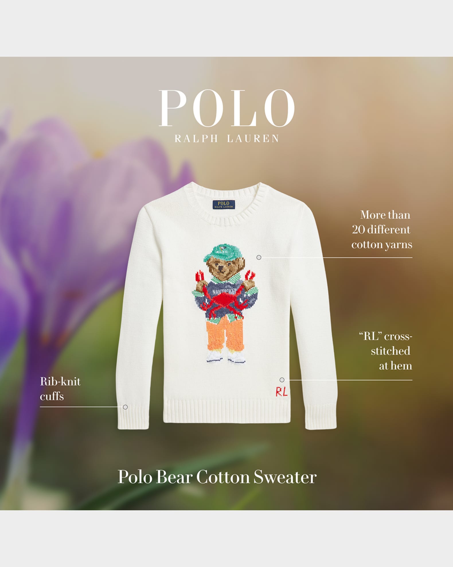 Boy's Graphic Polo Bear Sweater 1