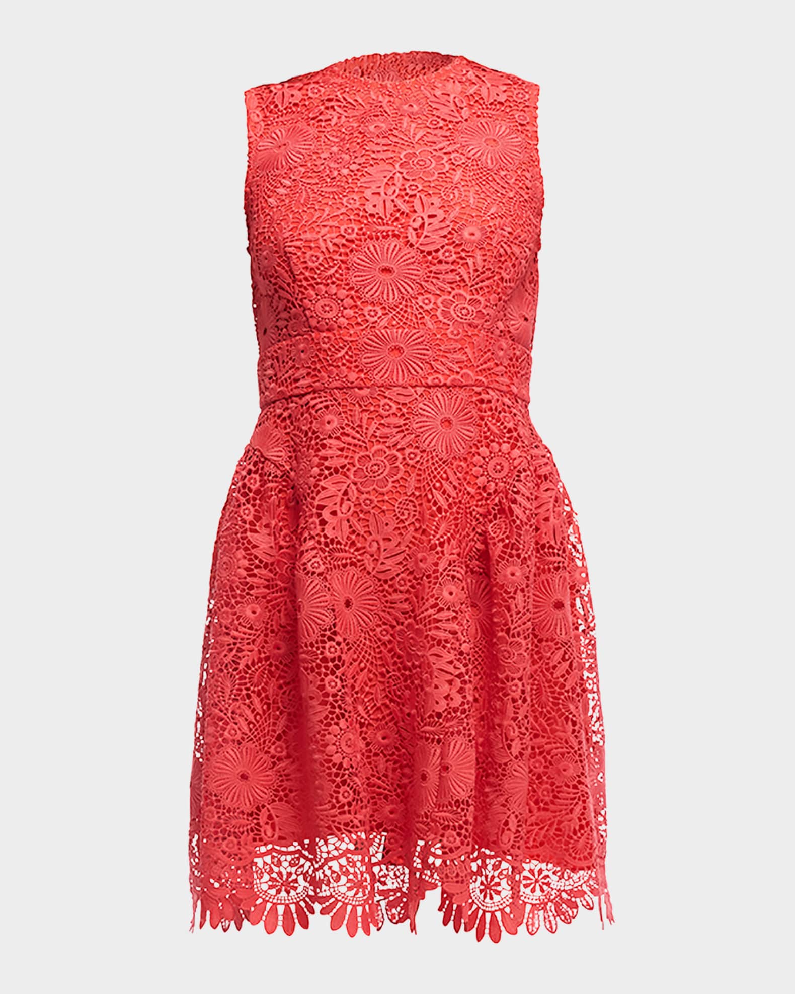 Ivy Mini Lace Fit-and-Flare Dress  0