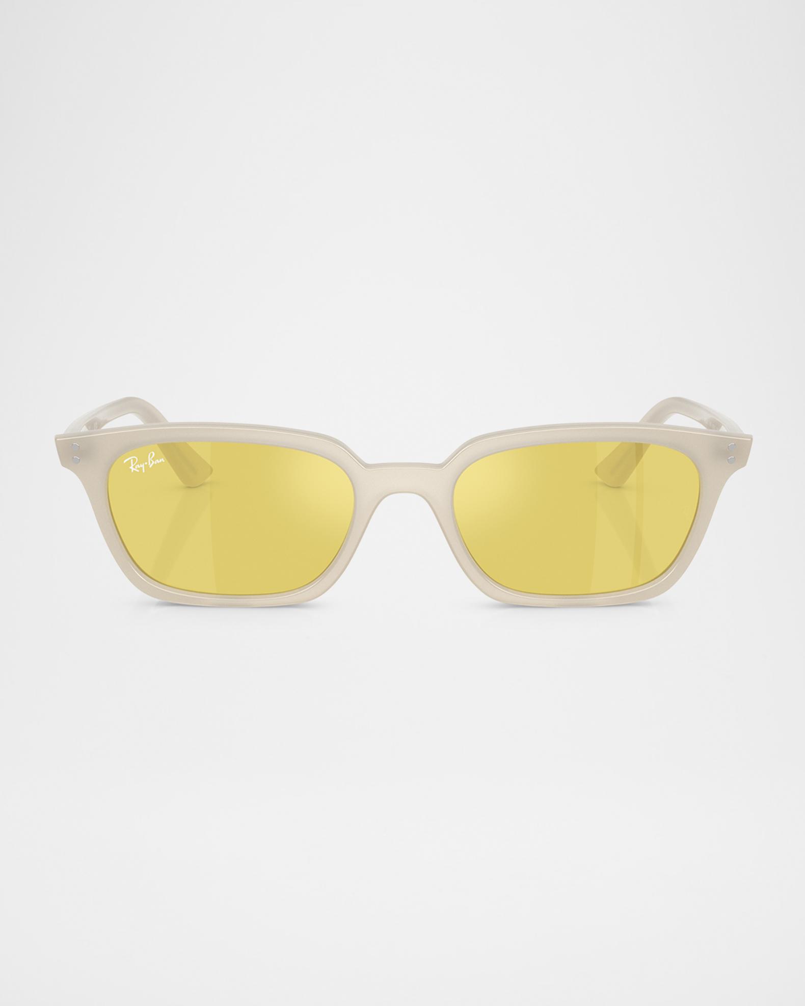 Ray Banサングラス POLARISED Ray-Ban RB4456 Plastic Pillow Sunglasses | Neiman Marcus