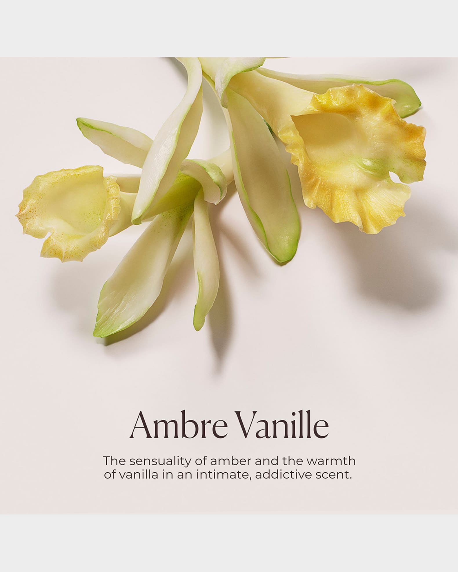 Hydrating Body Wash Ambre Vanilla, 6.76 oz.