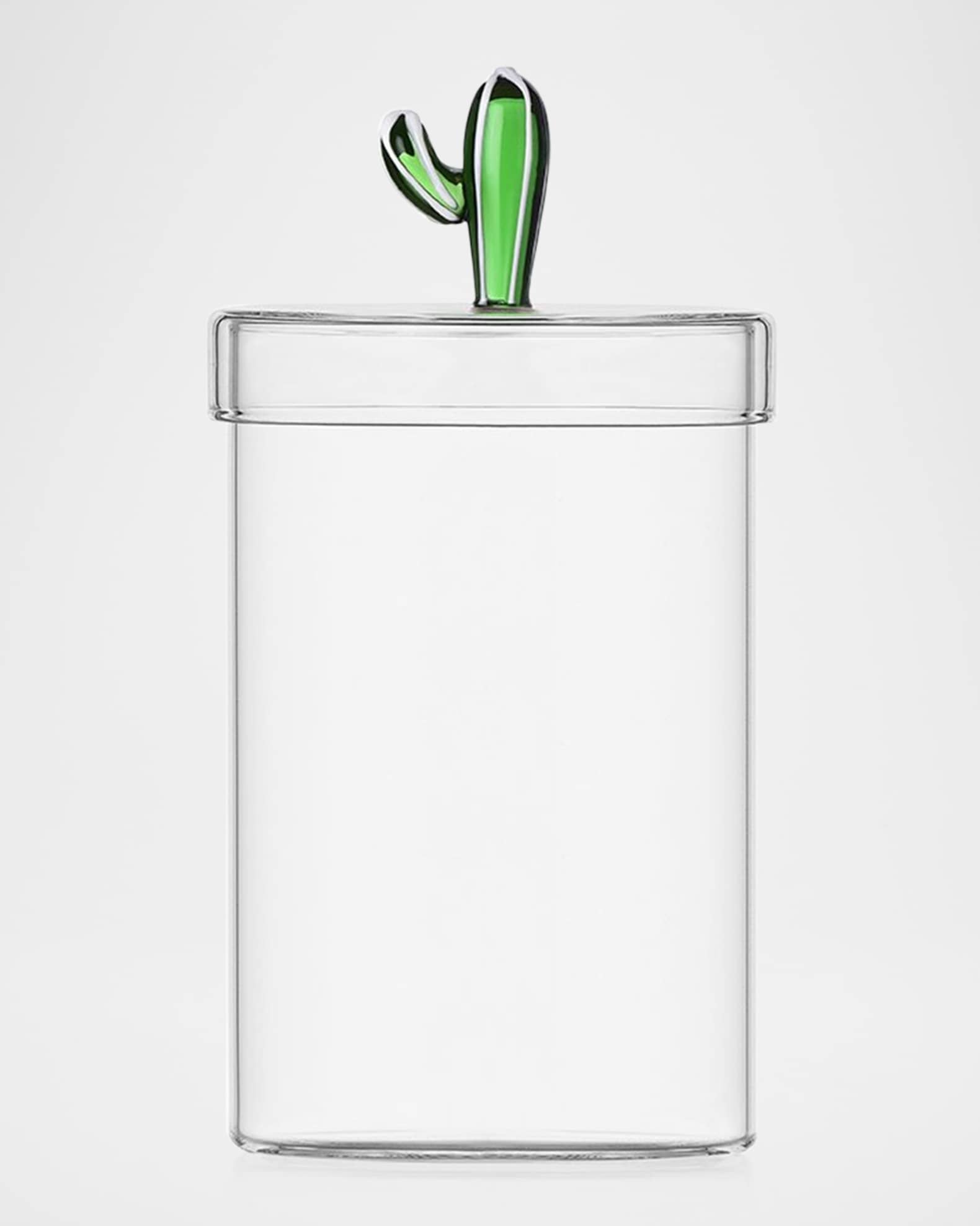 Desert Plants Cactus Box with Lid 0