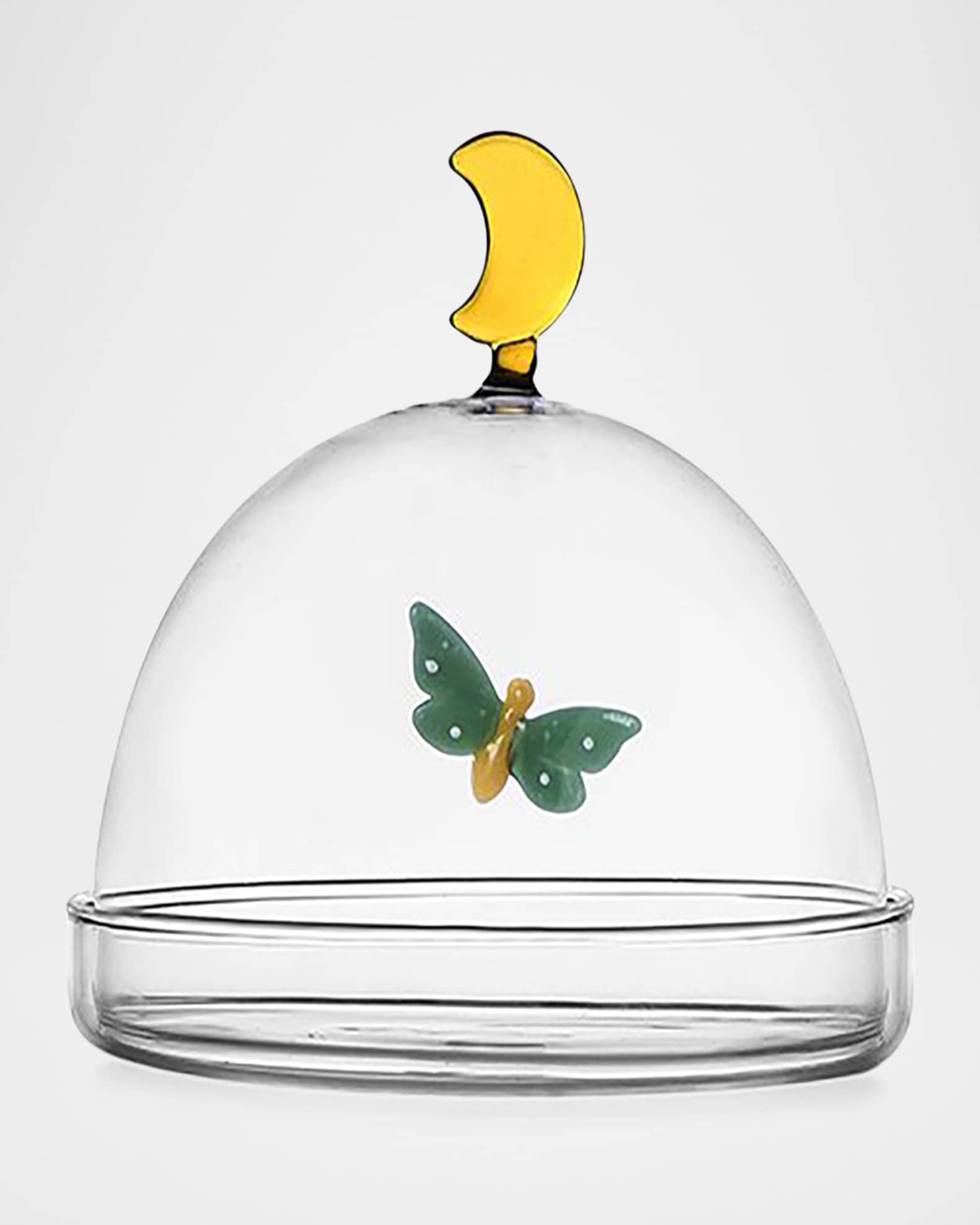 Garden Picnic Dome with Butterfly & Moon Dish 0