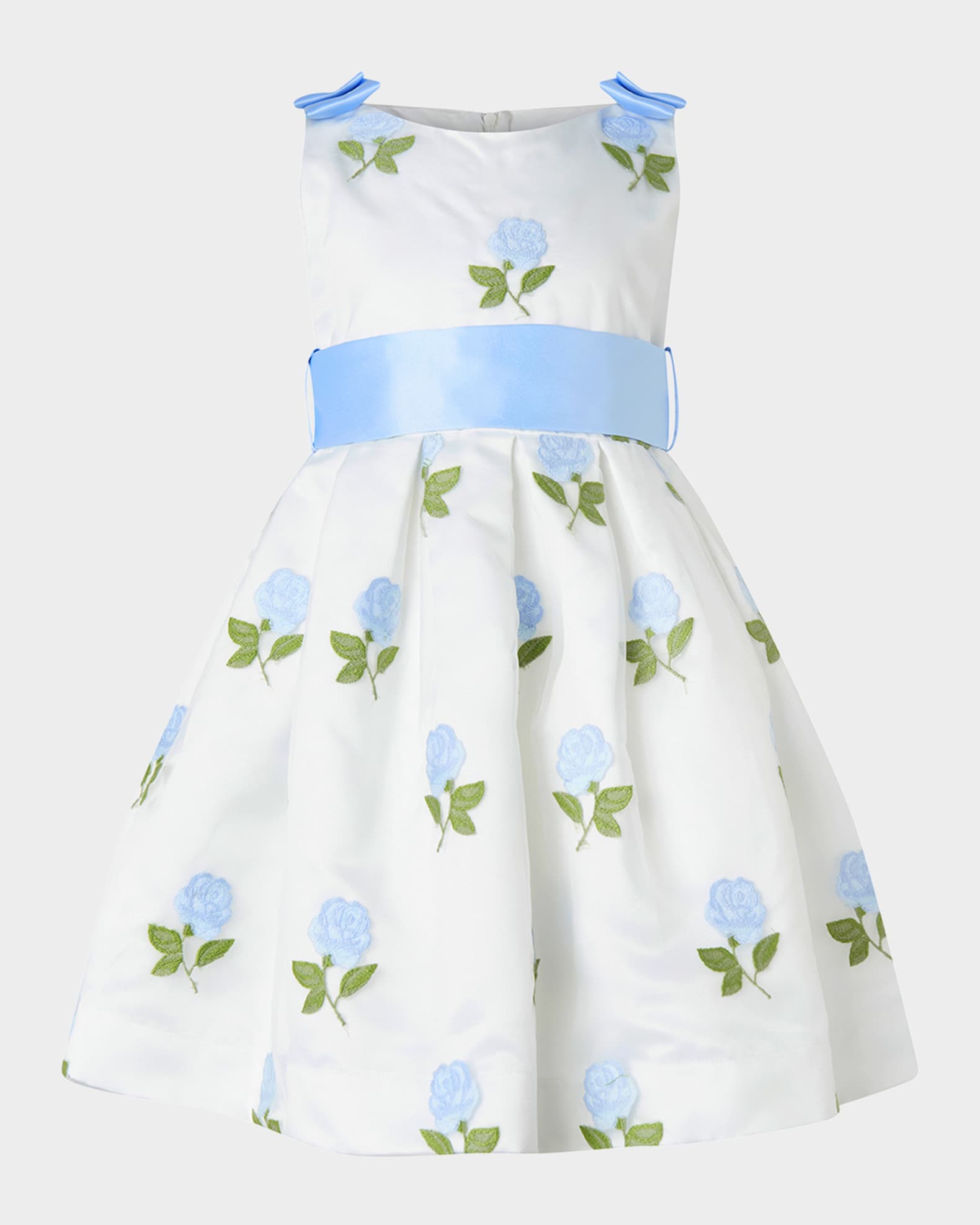 Girl's Rose Embroidered Organza Dress, Size 2-14 0