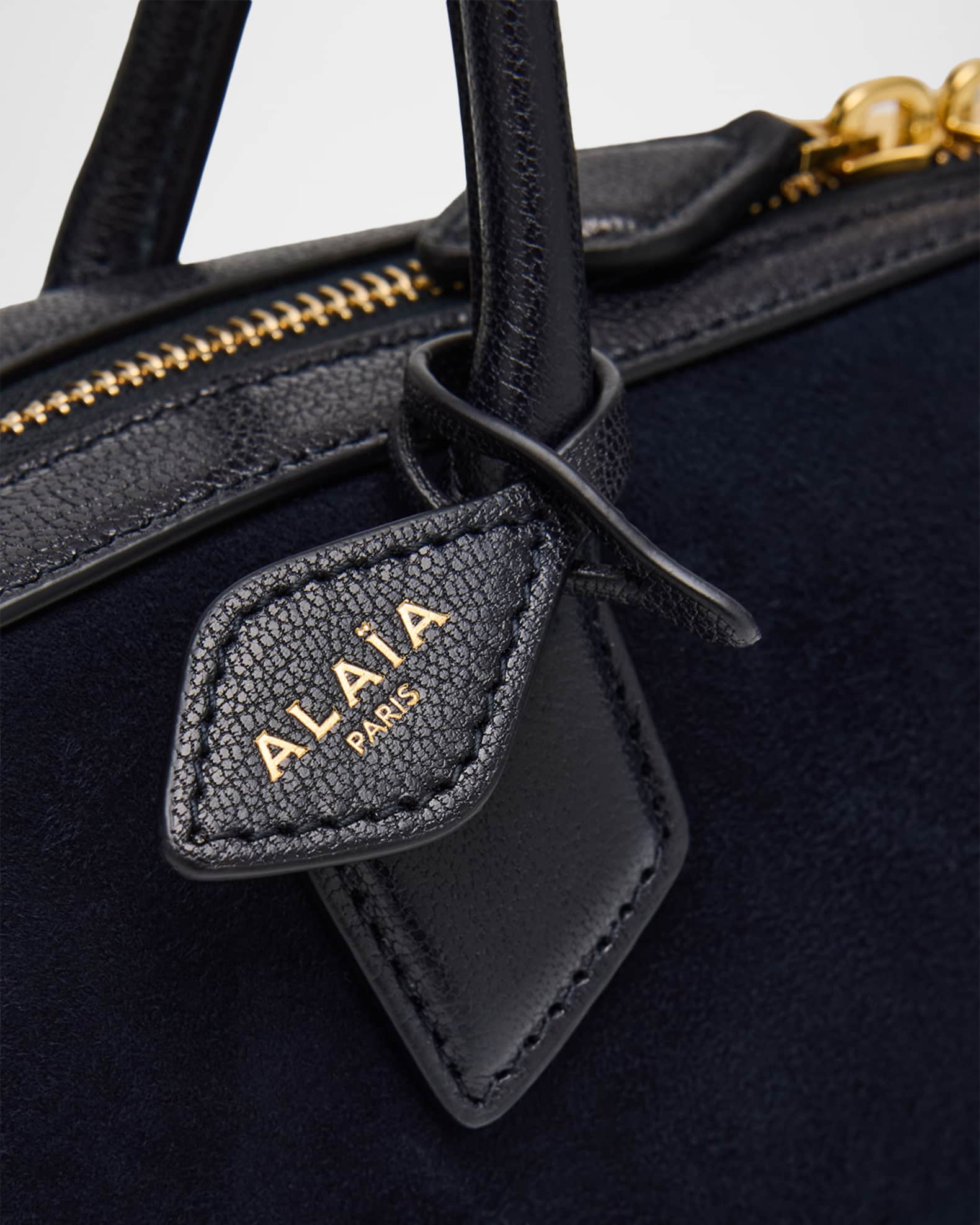 Alaia Le Teckel Small Handbags 600043303owt main image 0
