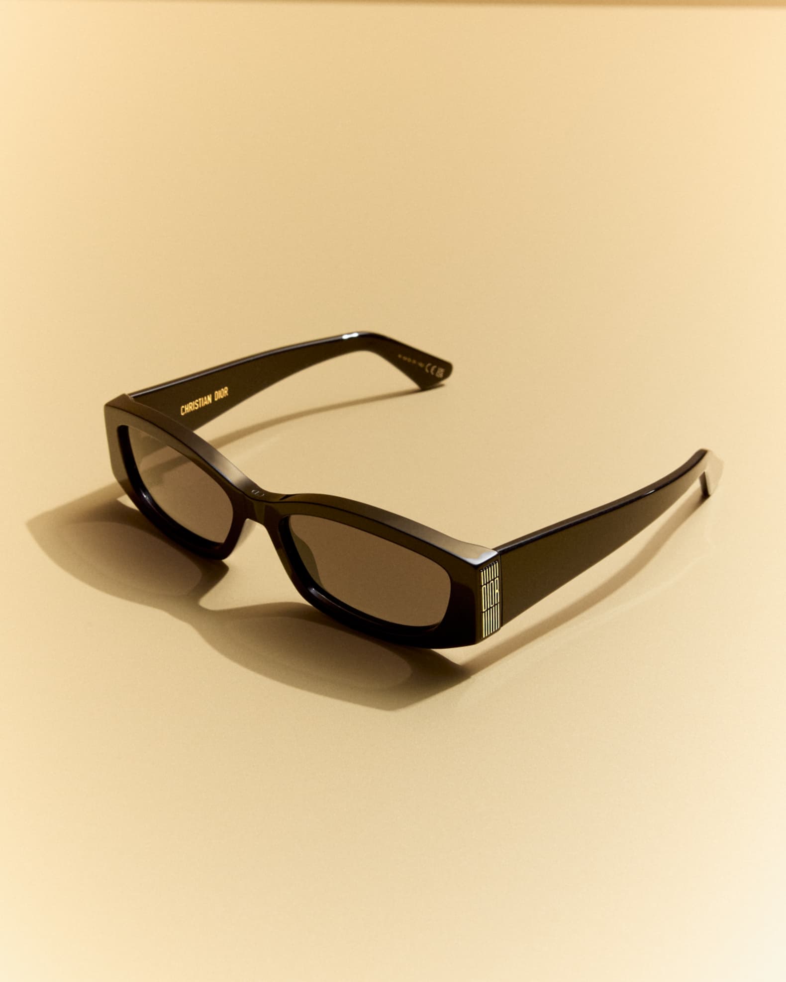 Christian Dior - Furilu DIOR DiorGraphique S1I Rectangular Sunglasses | Neiman Marcus