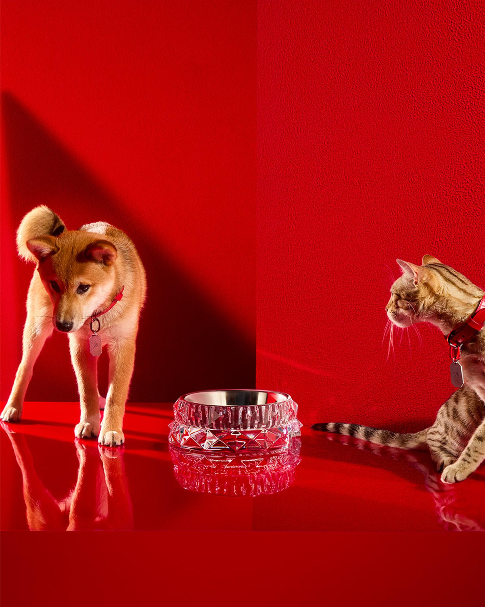 Louxor Pet Bowl Collection | Neiman Marcus