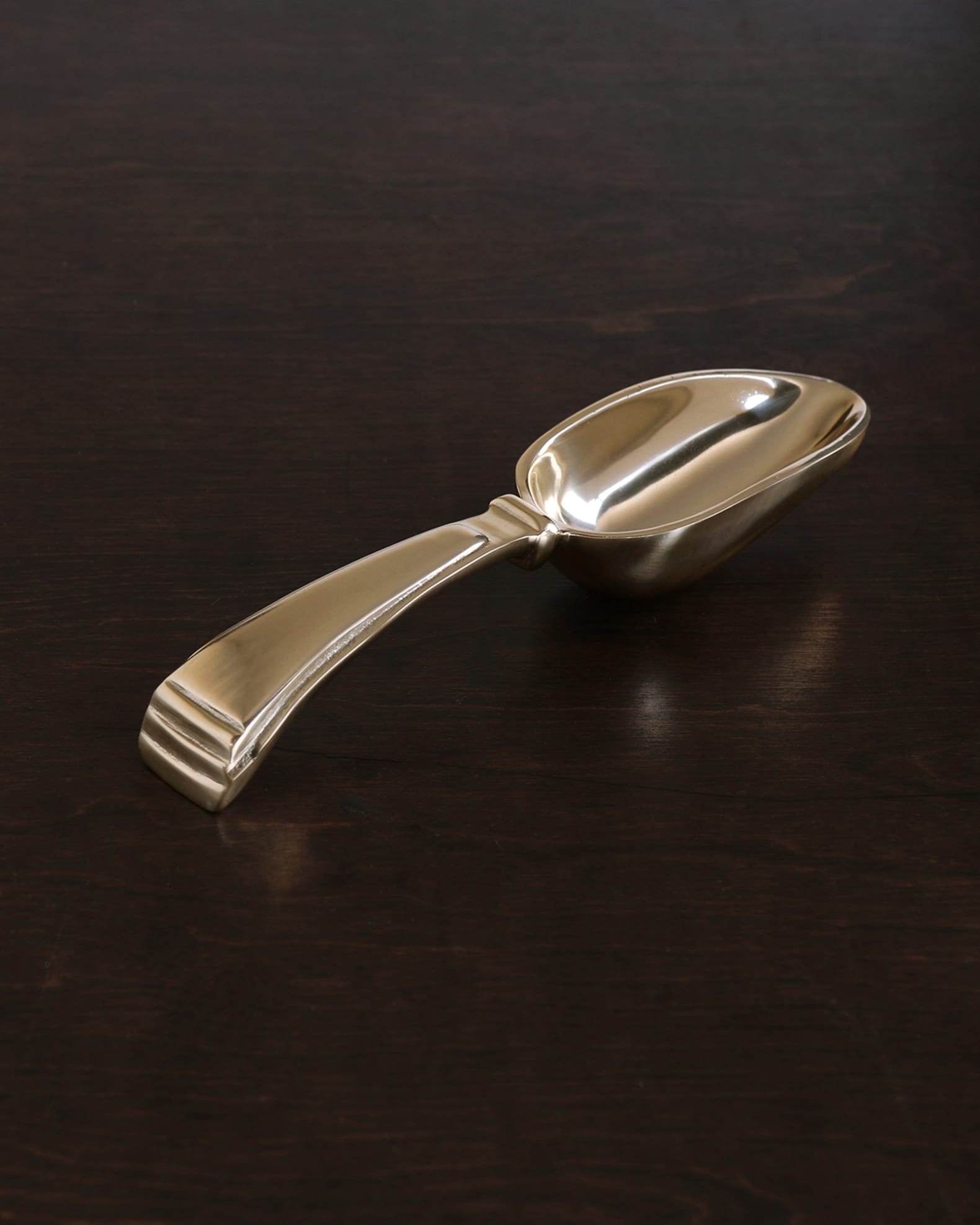 SIERRA MODERN Alejandra Ice Scoop 0