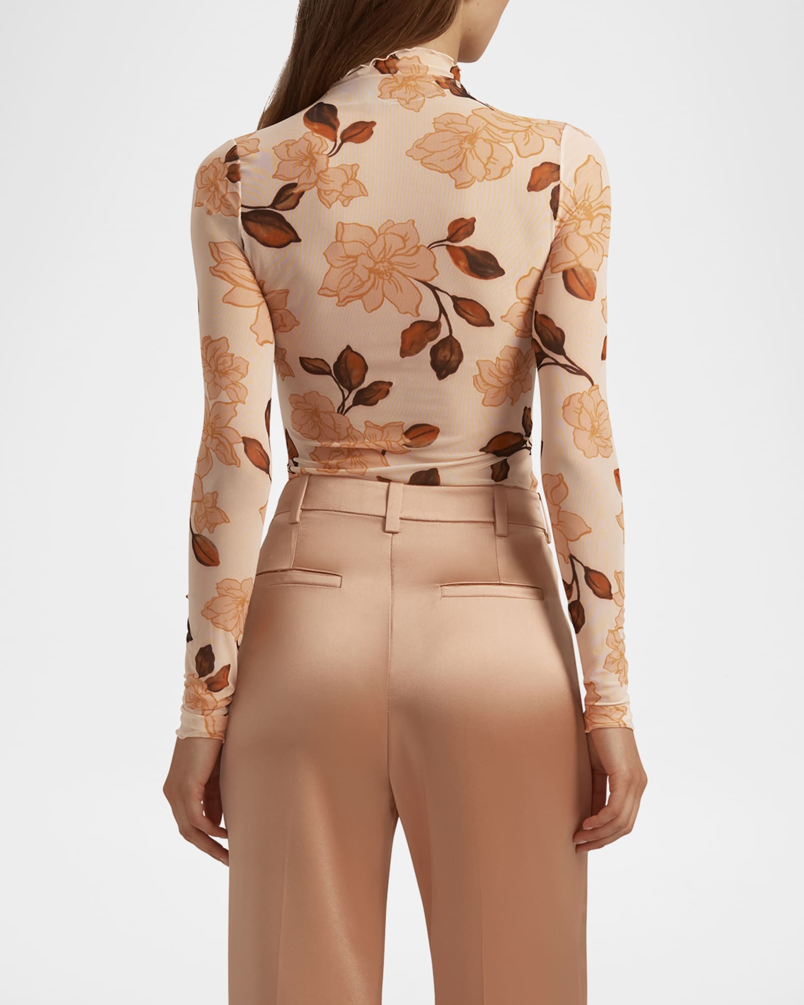 The Sheer Fantasy Turtleneck Top 1