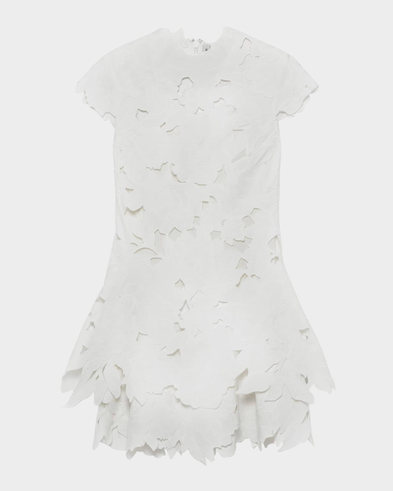 Holloway Embroidered Mini Dress 0