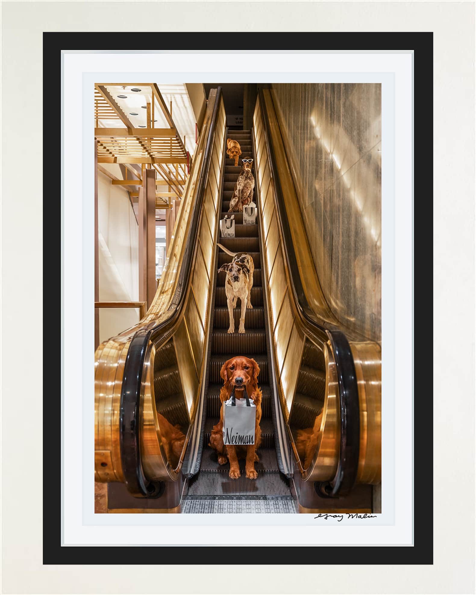"Escalator Ride, Neiman Marcus, Downtown Dallas" Framed Fine Art Photography Print 0