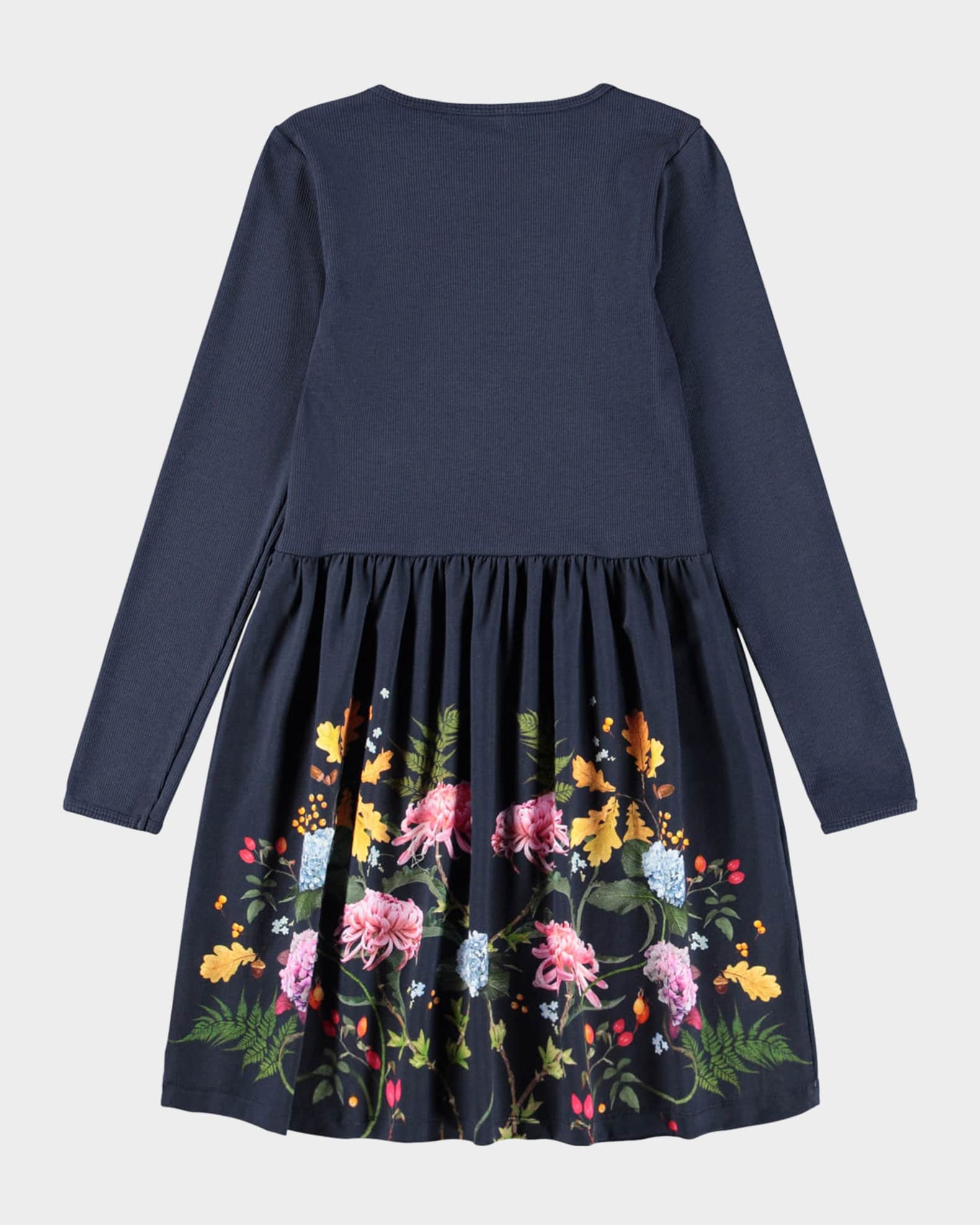 Girl's Credence Long-Sleeve Dress, Size 2-6 1