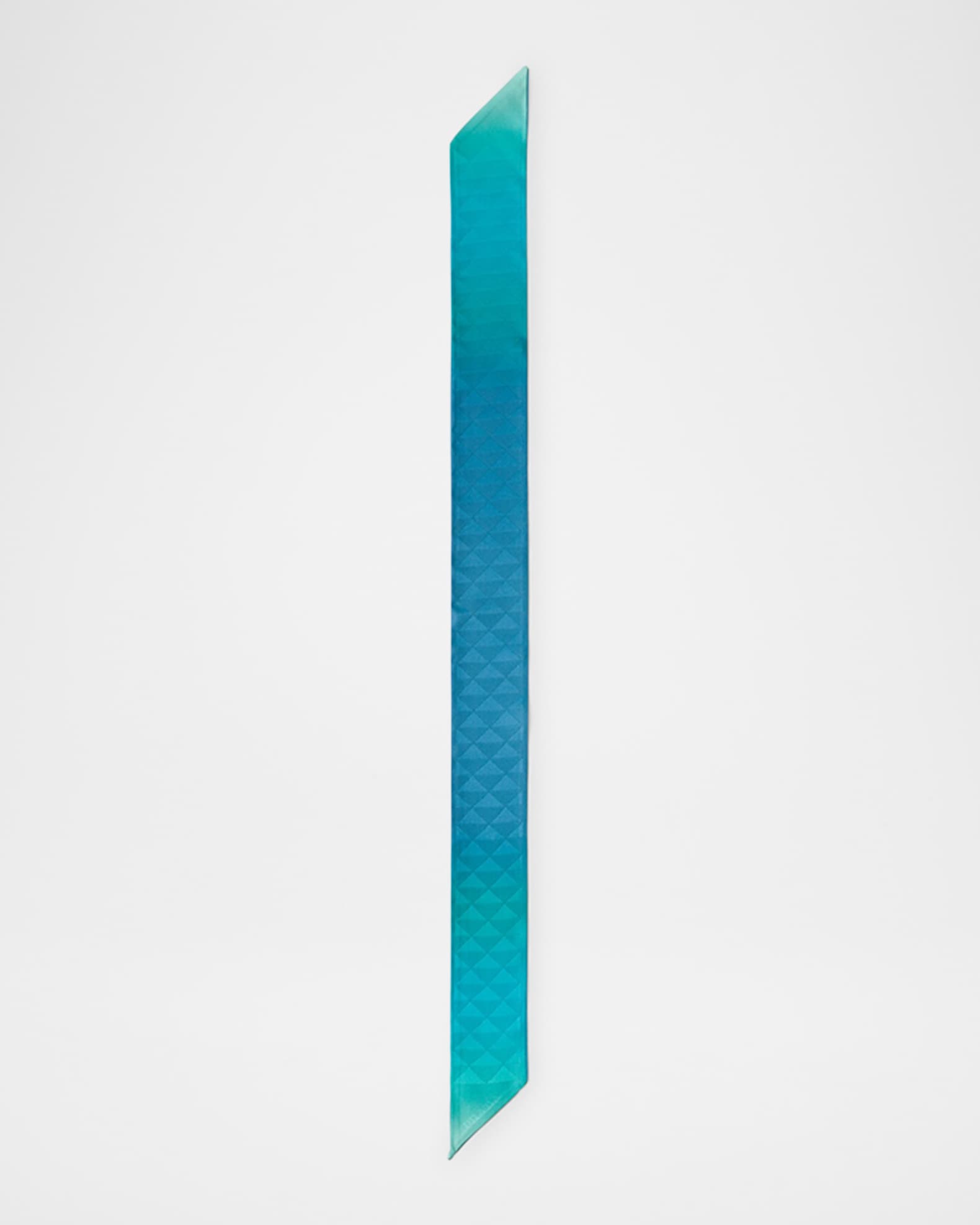 Printed Silk Twill Skinny Scarf 1