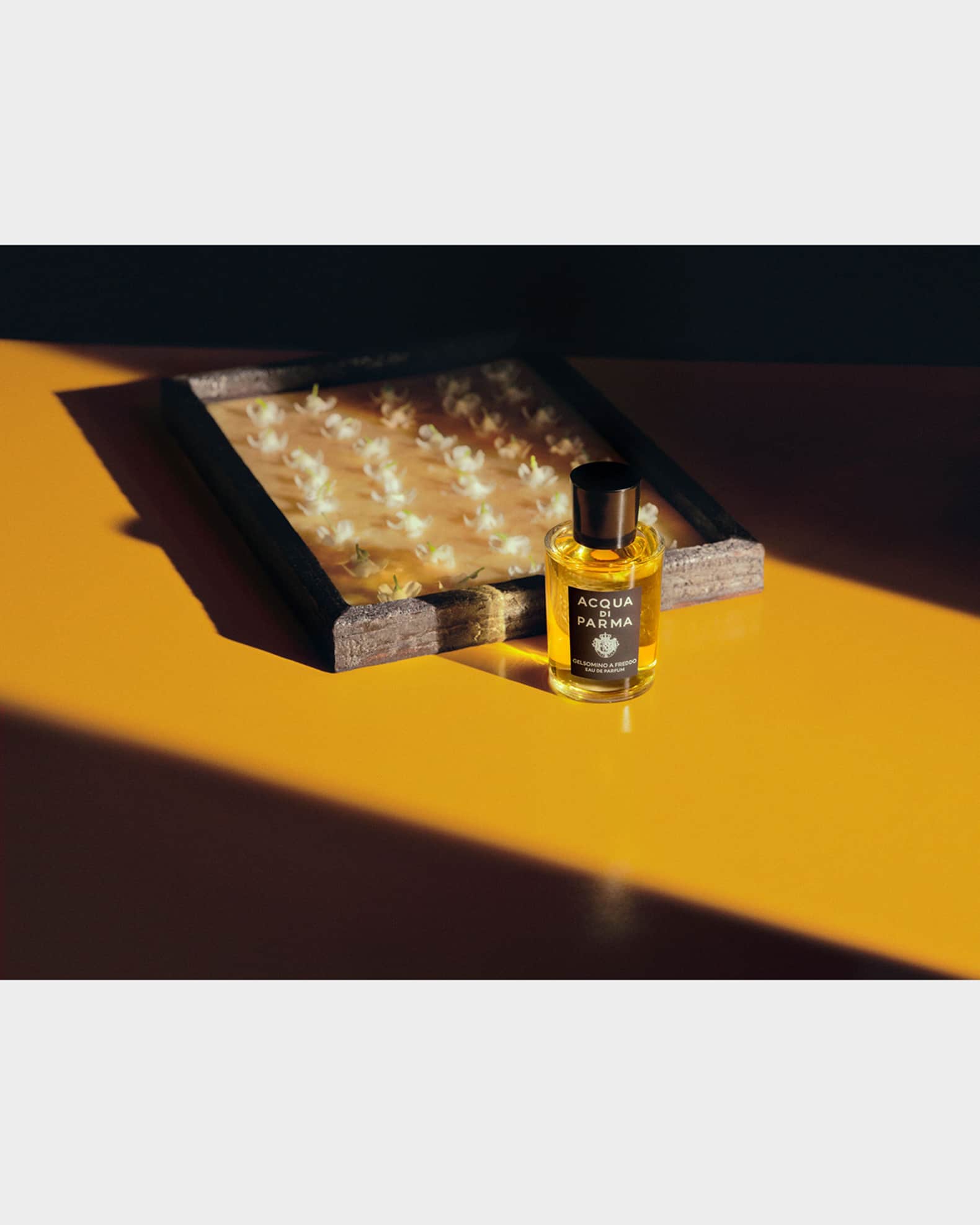 Acqua di Parma Gelsomino a Freddo Eau de Parfum, 3.4 oz. | Neiman
