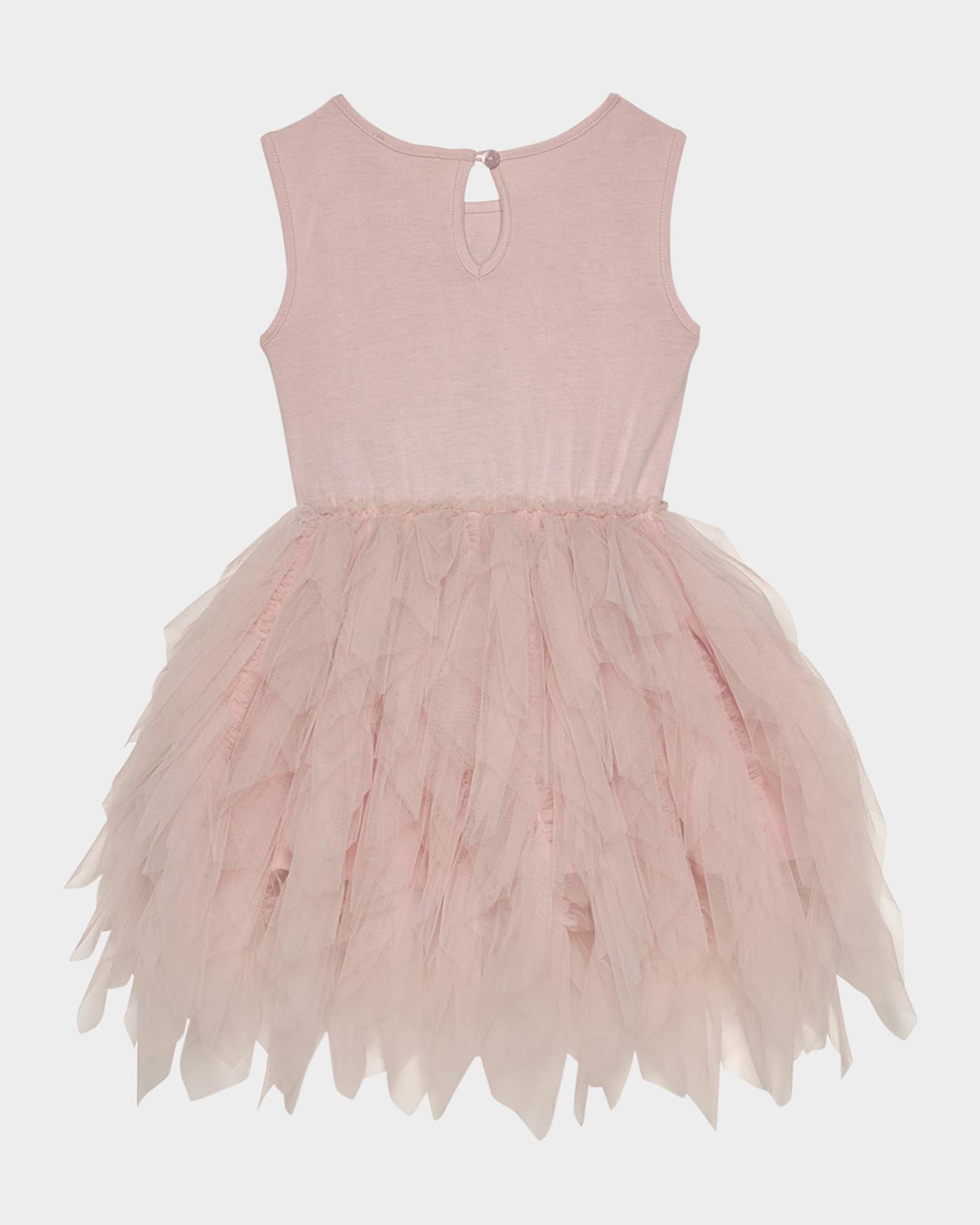 Girl's Bebe Floral Embroidered Tutu Dress, Size 6M-24M 1