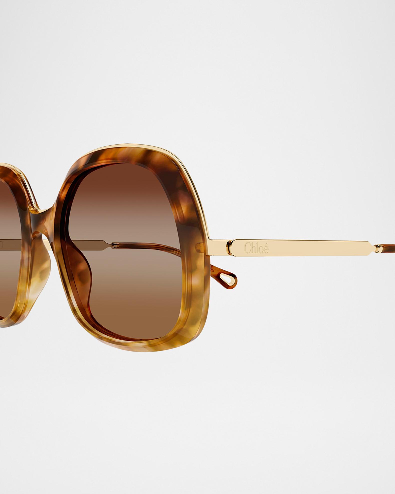 Chloe Brown  Sunglasses with Gold Trim Great Summer Shades Chloe Women main image 3