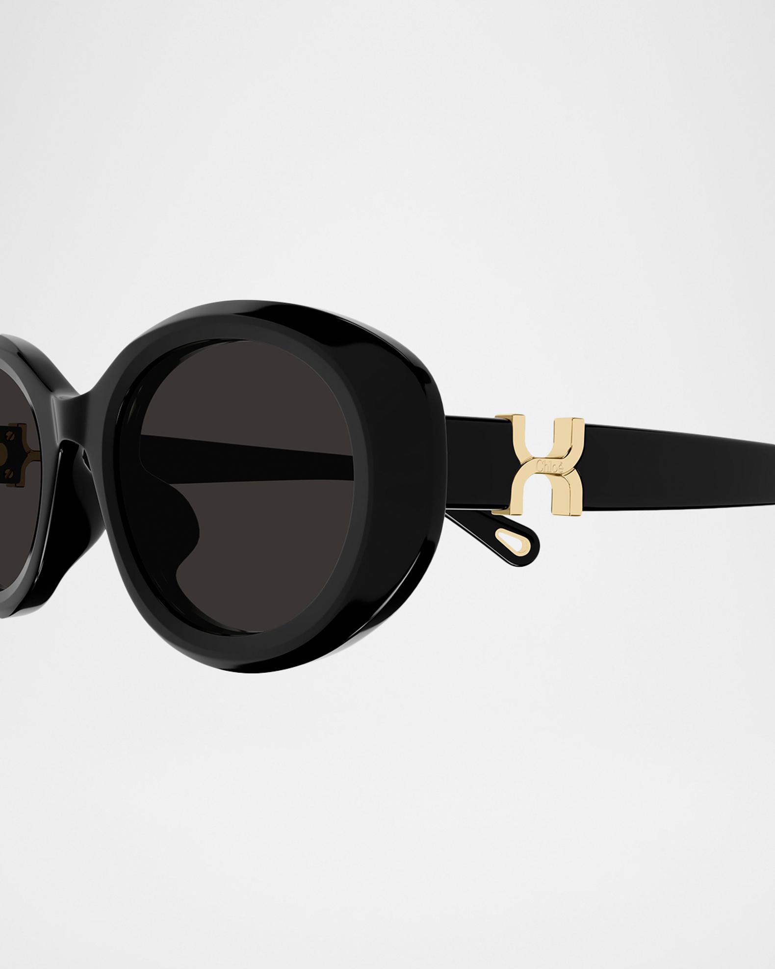 Chloe Marcie 50mm Oval Acetate Sunglasses | Neiman Marcus display picture 1