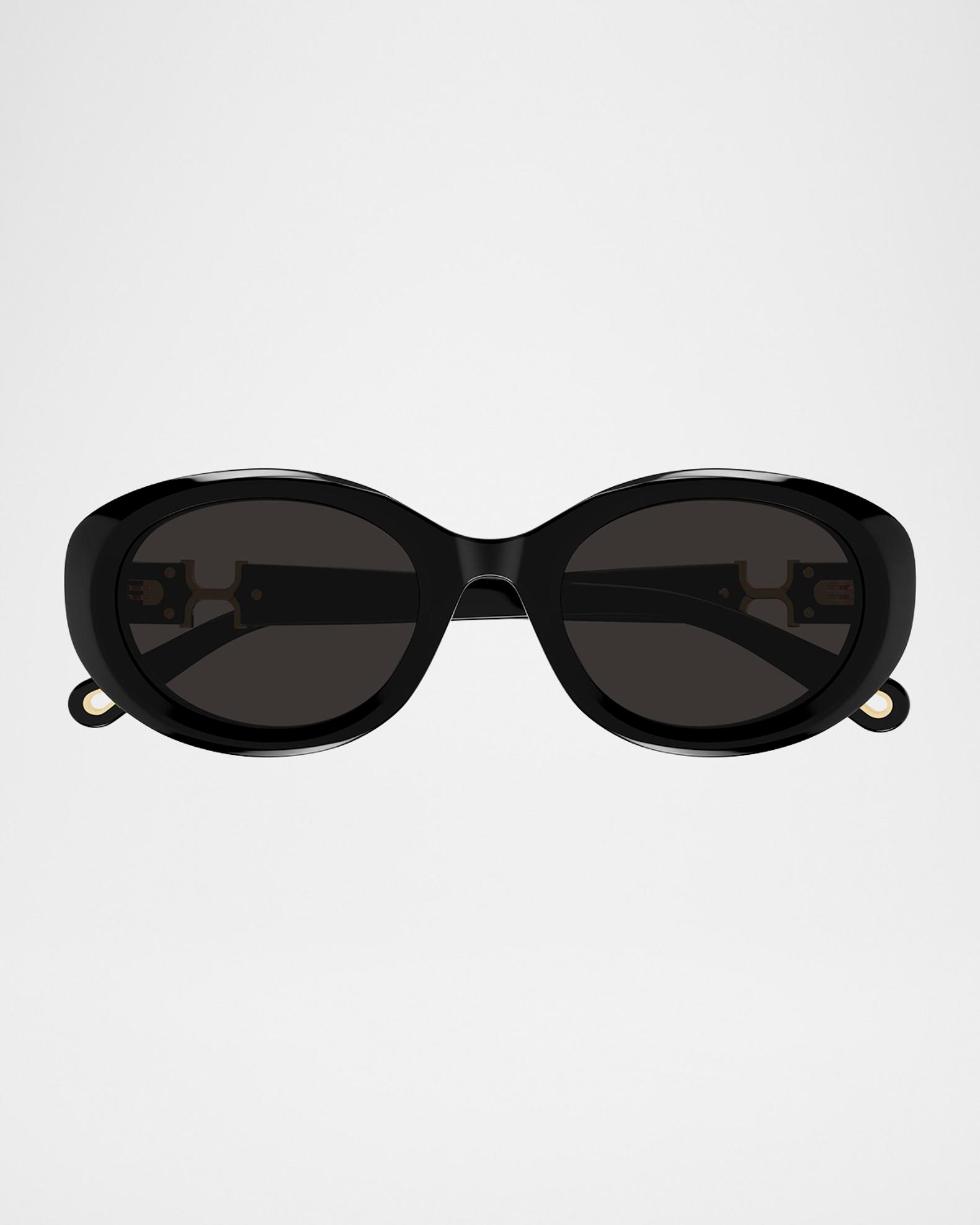 Chloe Marcie 50mm Oval Acetate Sunglasses | Neiman Marcus display picture 1