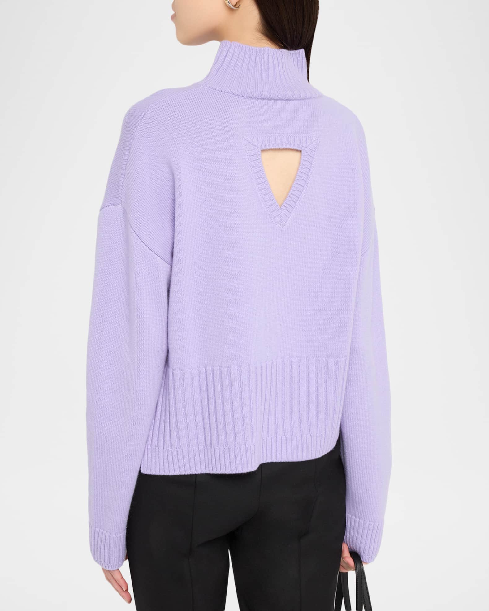 Amir Taghi Jamie Merino Wool and Cashmere Turtleneck Sweater