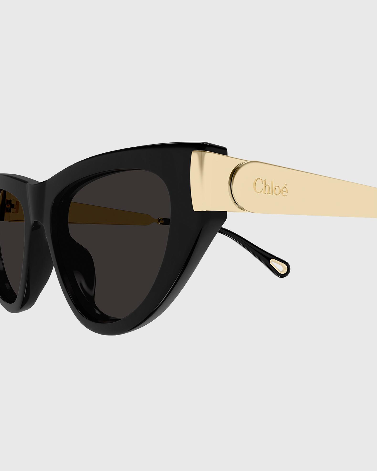 Chloe Holly 54mm Acetate & Metal Cat-Eye Sunglasses | Neiman 