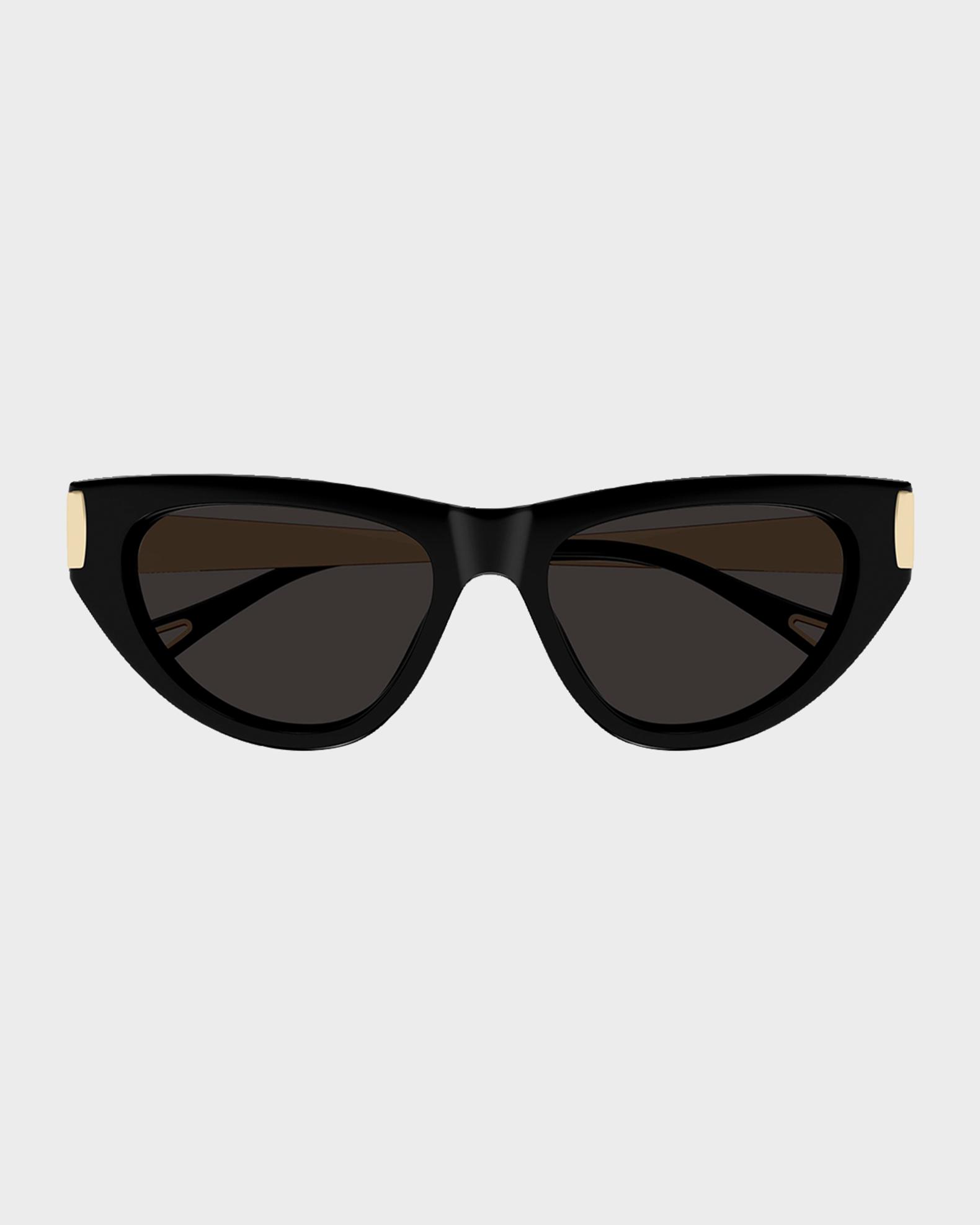 54MM Metal-Trim Cat Eye Sunglasses Chloe Holly 54mm Acetate & Metal Cat-Eye Sunglasses | Neiman  main image 2