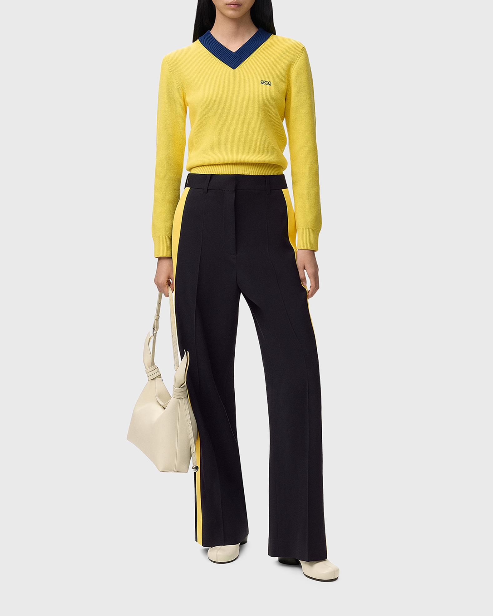 LOEWE Bicolor V-Neck Sweater | Neiman Marcus