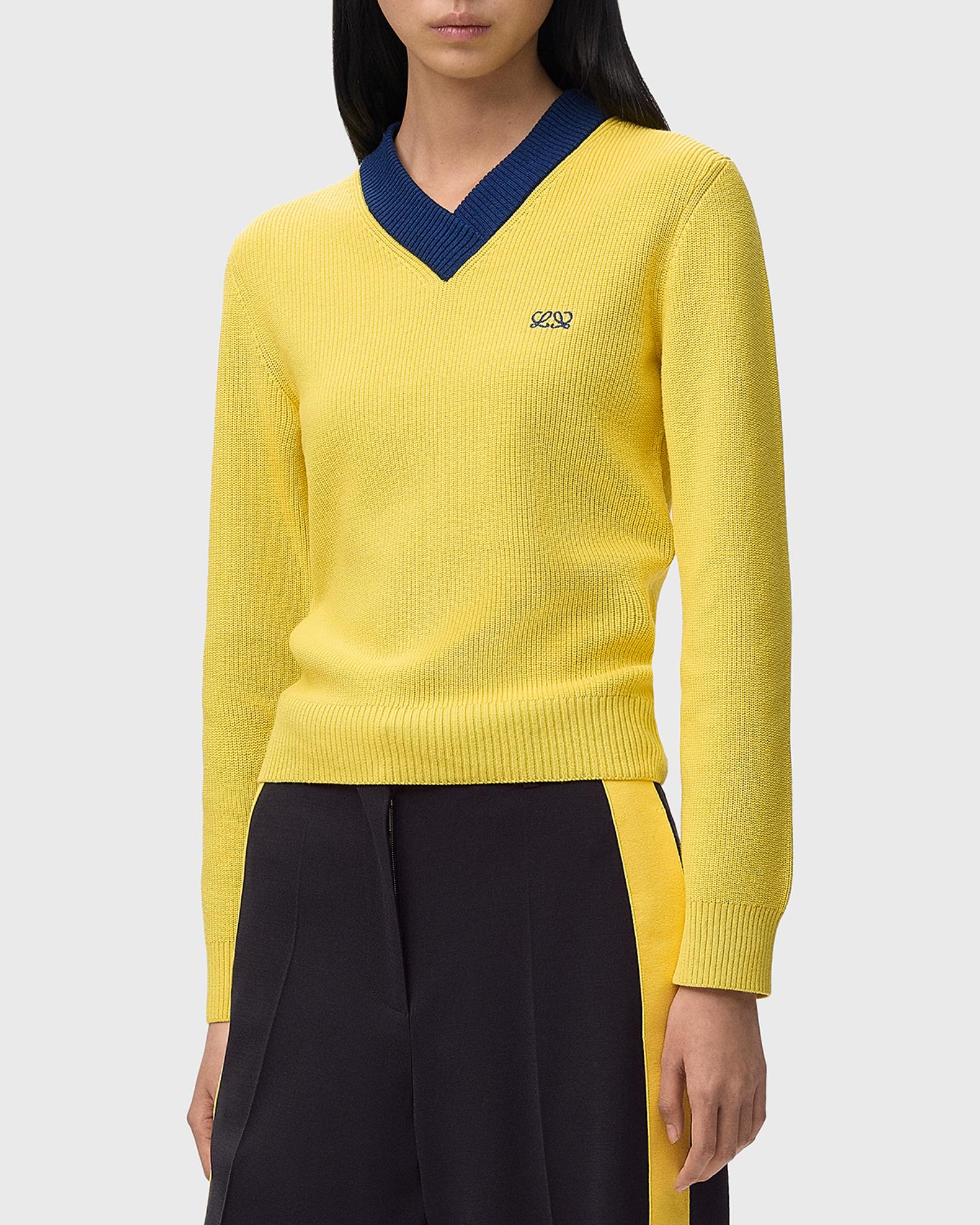 LOEWE Bicolor V-Neck Sweater | Neiman Marcus