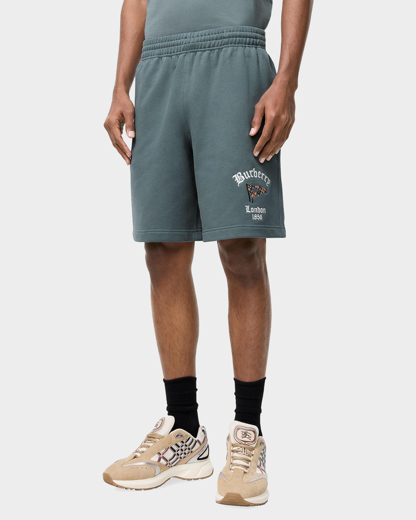 Burberry Men's Check Flag Cotton Shorts | Neiman Marcus