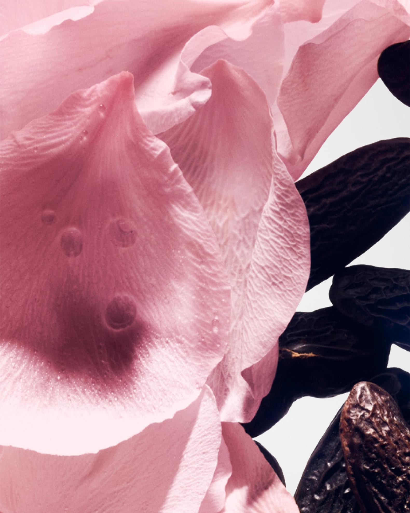 Rose De Soie Eau de Parfum | Neiman Marcus