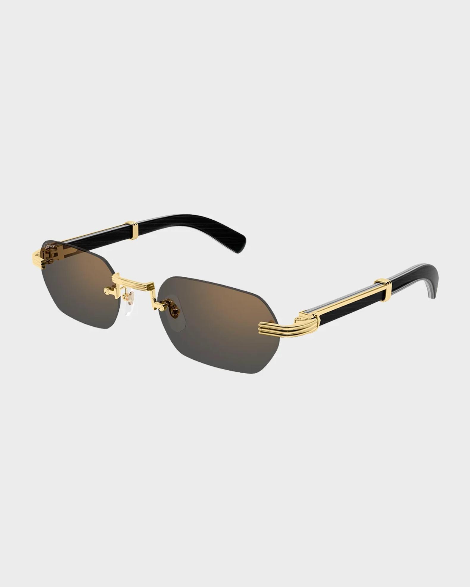Cartier Men's Rimless Titanium Rectangle Sunglasses | Neiman Marcus