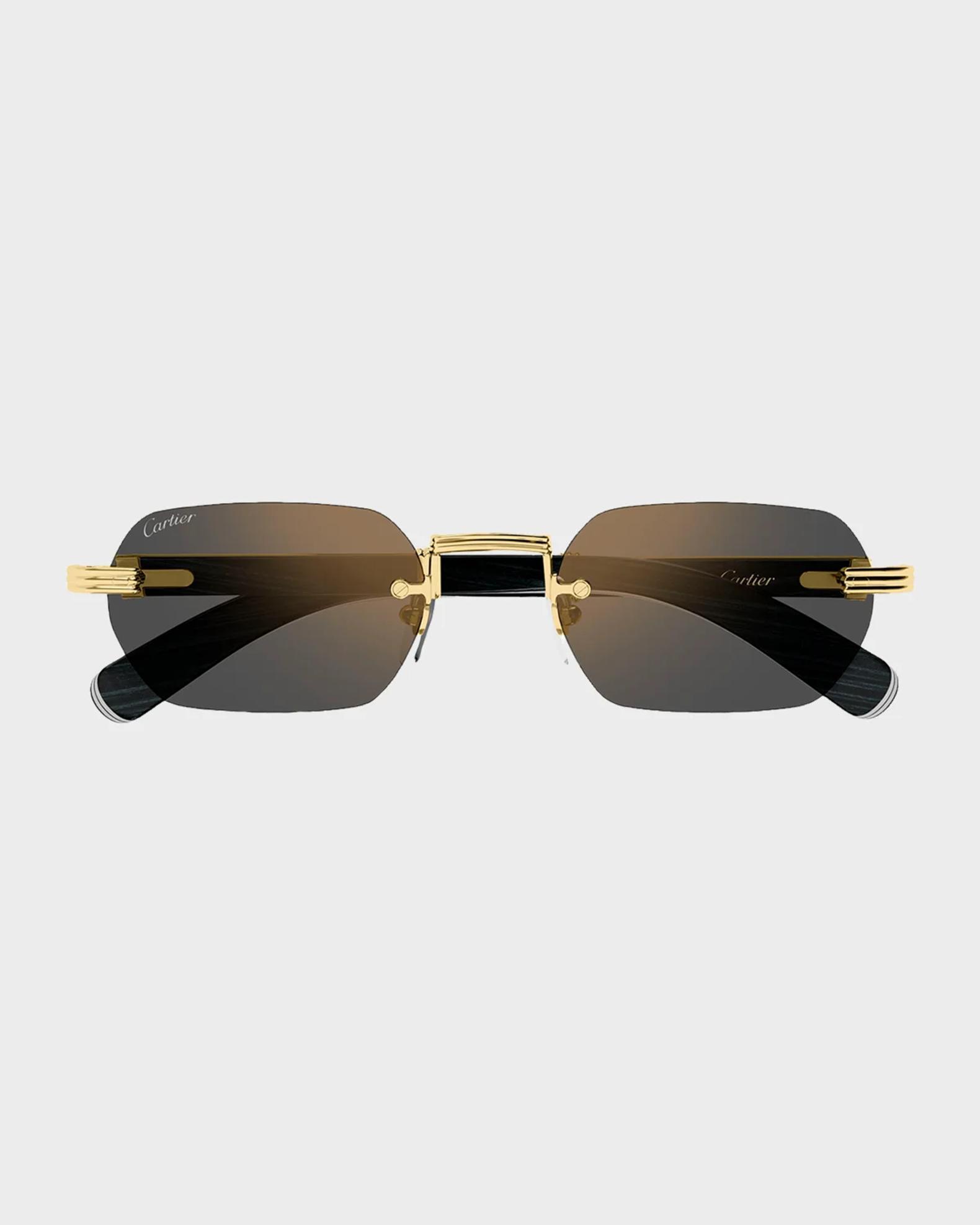 Cartier Men's Rimless Titanium Rectangle Sunglasses | Neiman Marcus