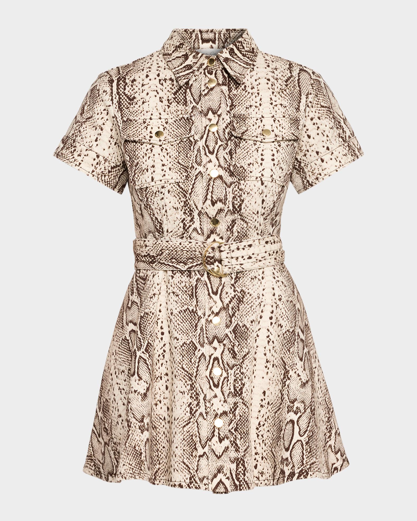 Cara Cara Walter Snakeskin-Printed Cotton Canvas Mini Dress