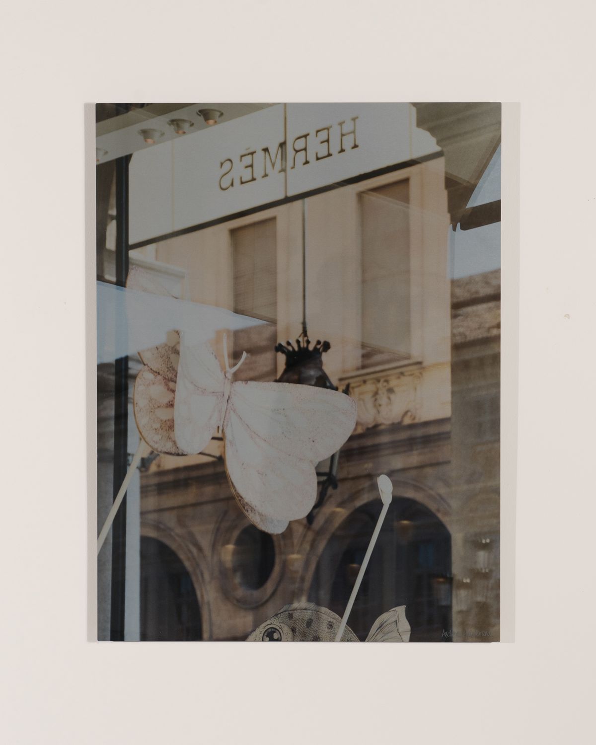 RFA Fine Art "Turin Hermes I" Print Photography Art by Andrea Hillebrand | Thumbnail 3