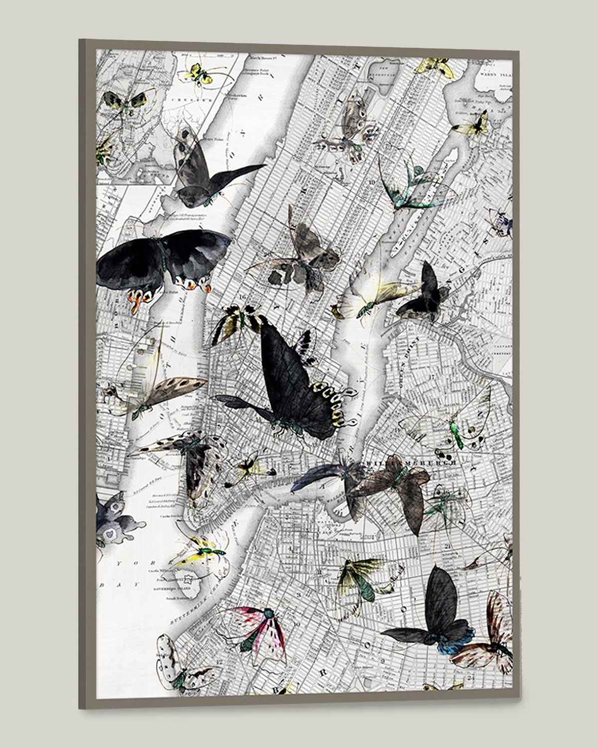 Wendover Art Group New York Butterfly Map I" Wall Art