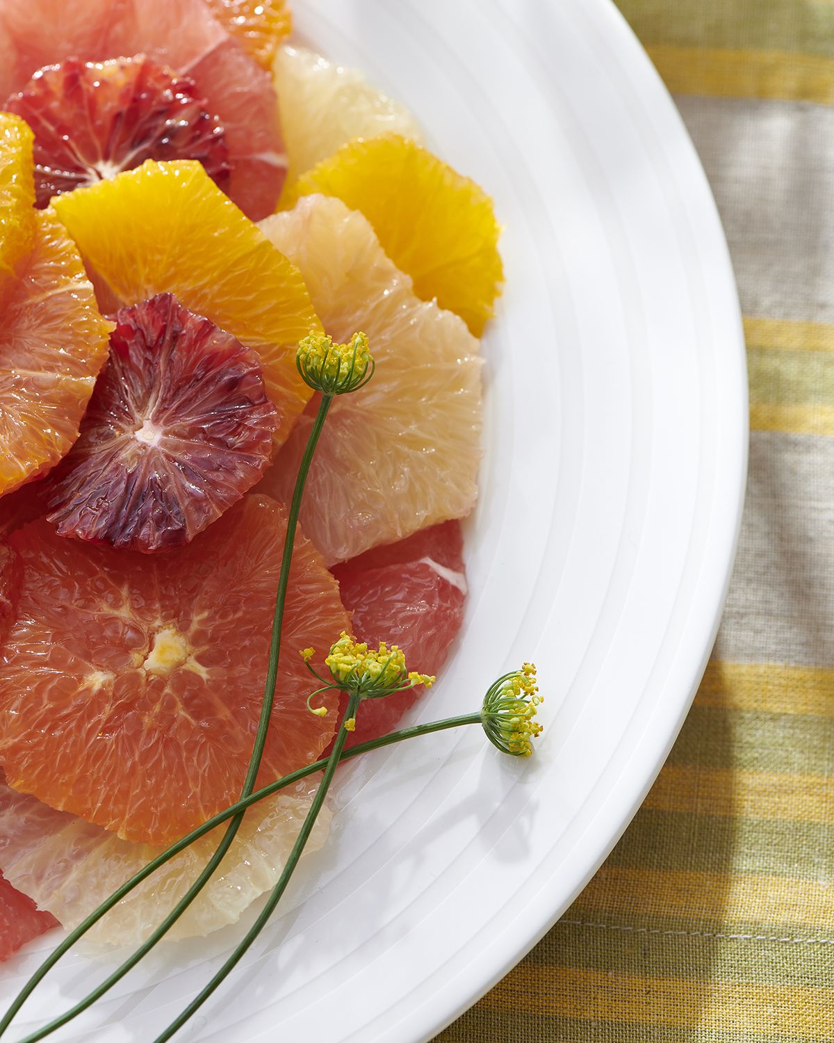 Caskata Cambridge Stripe Rimmed Salad Plates, Set of 4