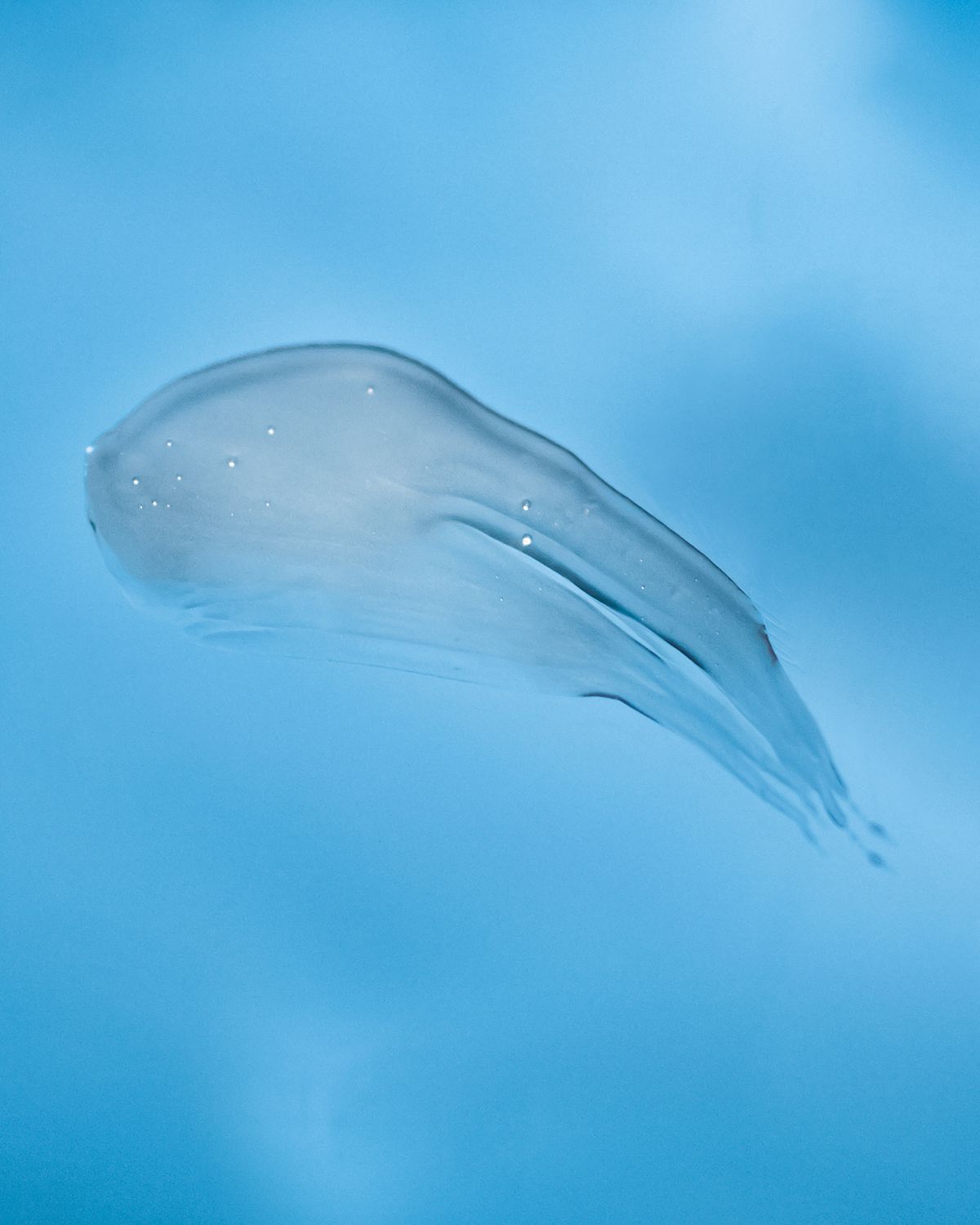 R+Co 8.5 oz. Atlantis Moisturizing Shampoo