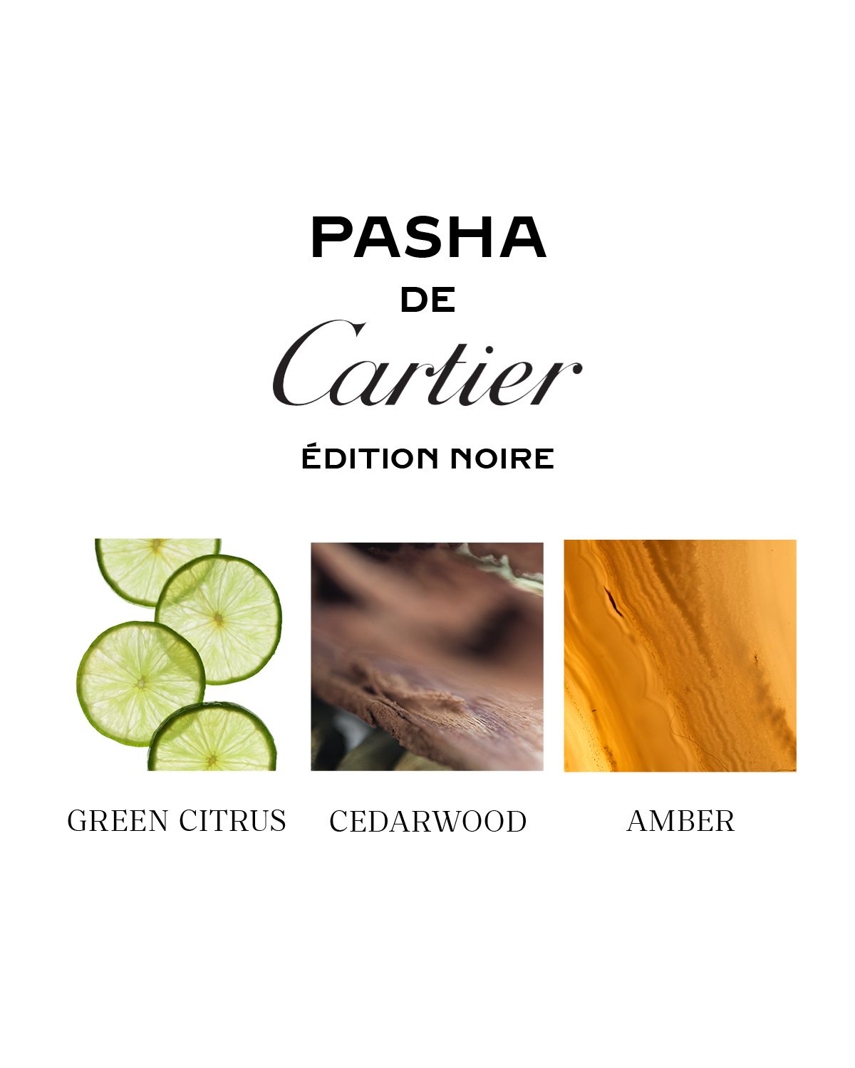 Cartier Pasha Edition Noire Sport, 3.3 oz.