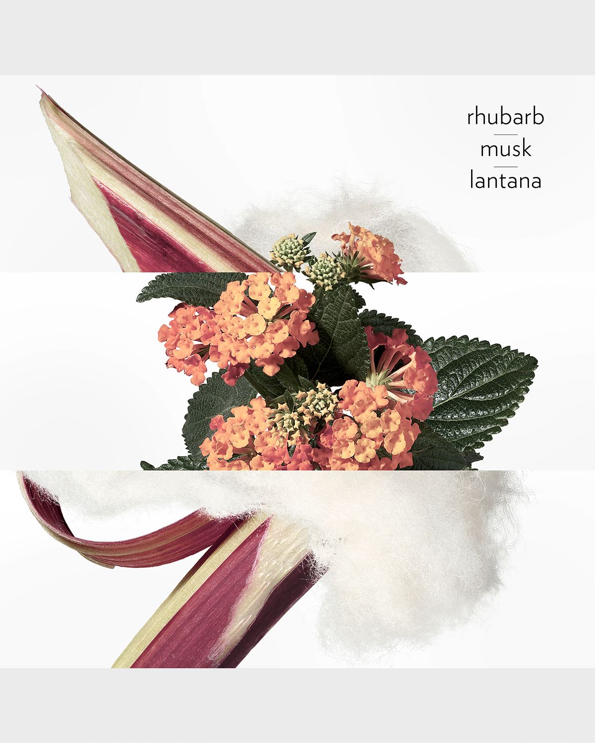 Hermes Eau de rhubarbe ecarlate Eau de Cologne Spray, 3.3 oz.