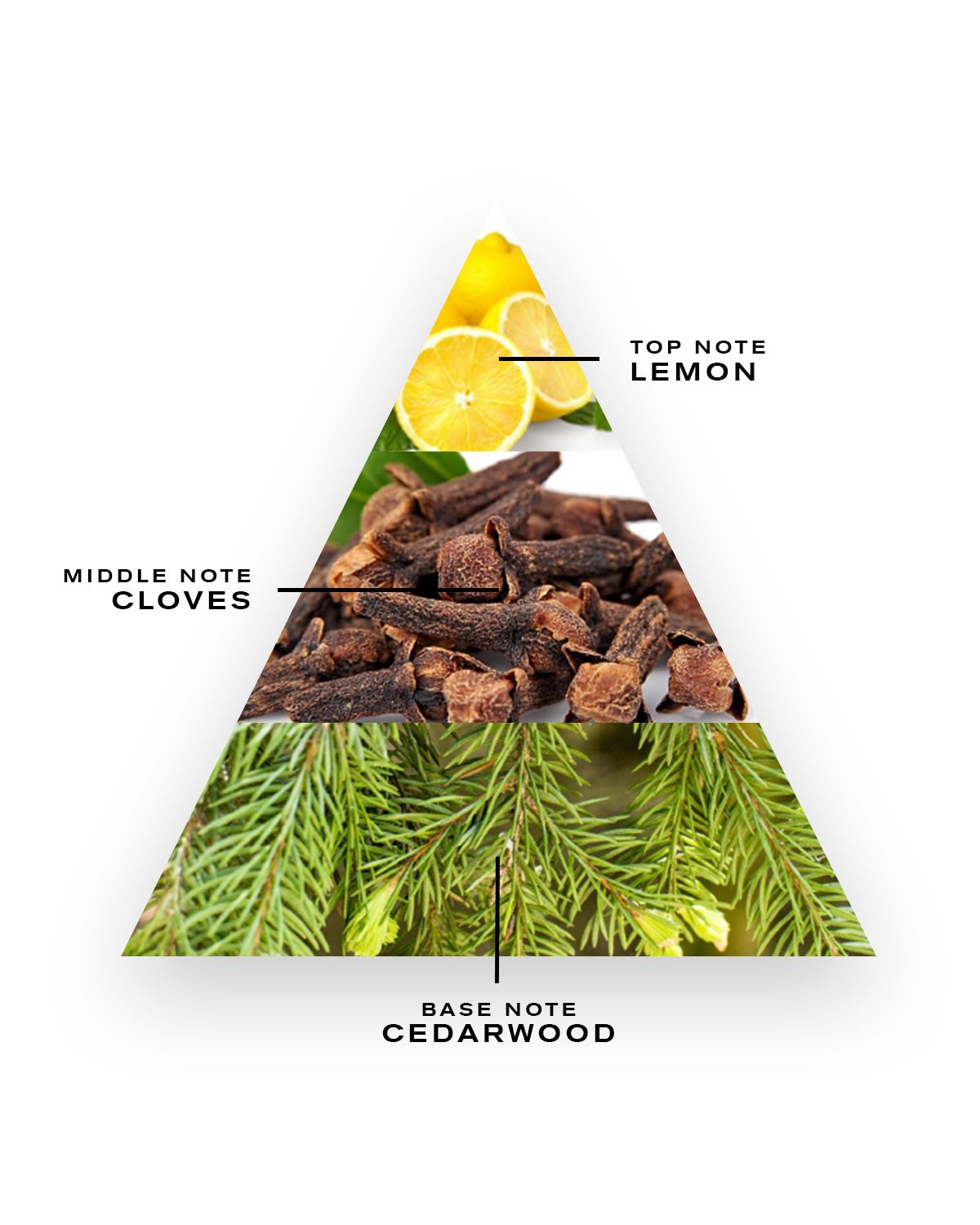 CREED Spice and Wood