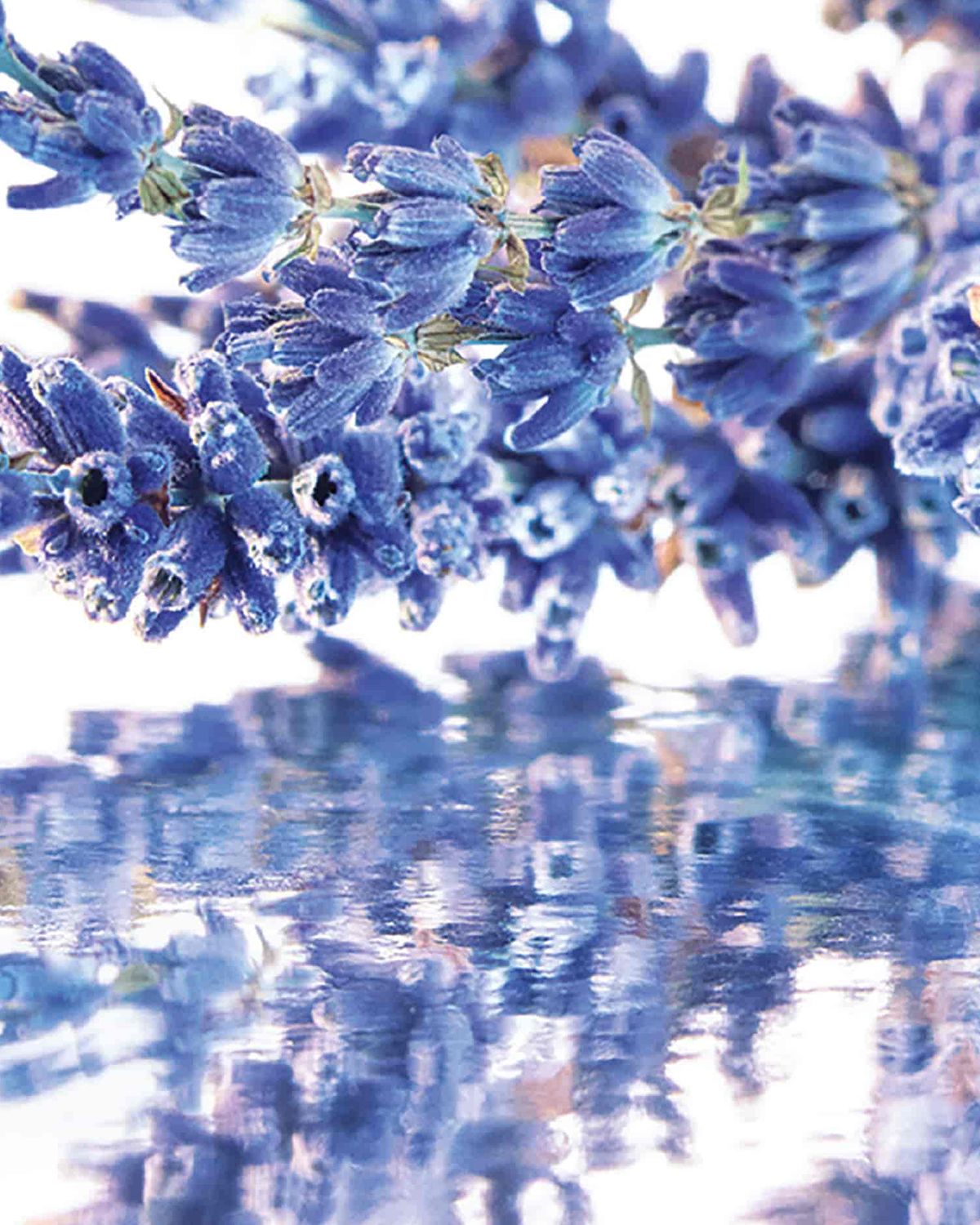 Guerlain Mon  Eau de Parfum, 3.4 oz.